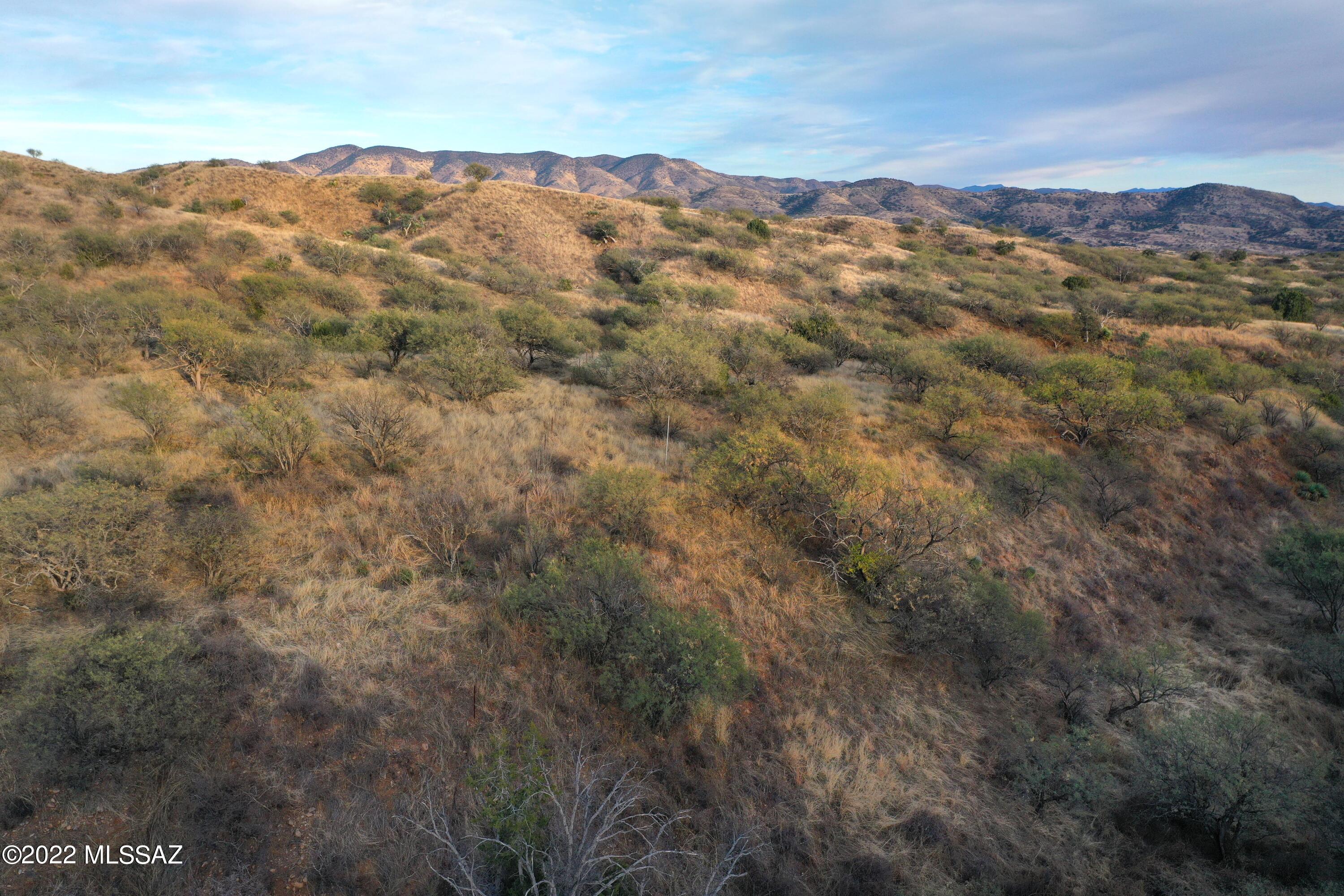 The Estates At Three Canyons - Land