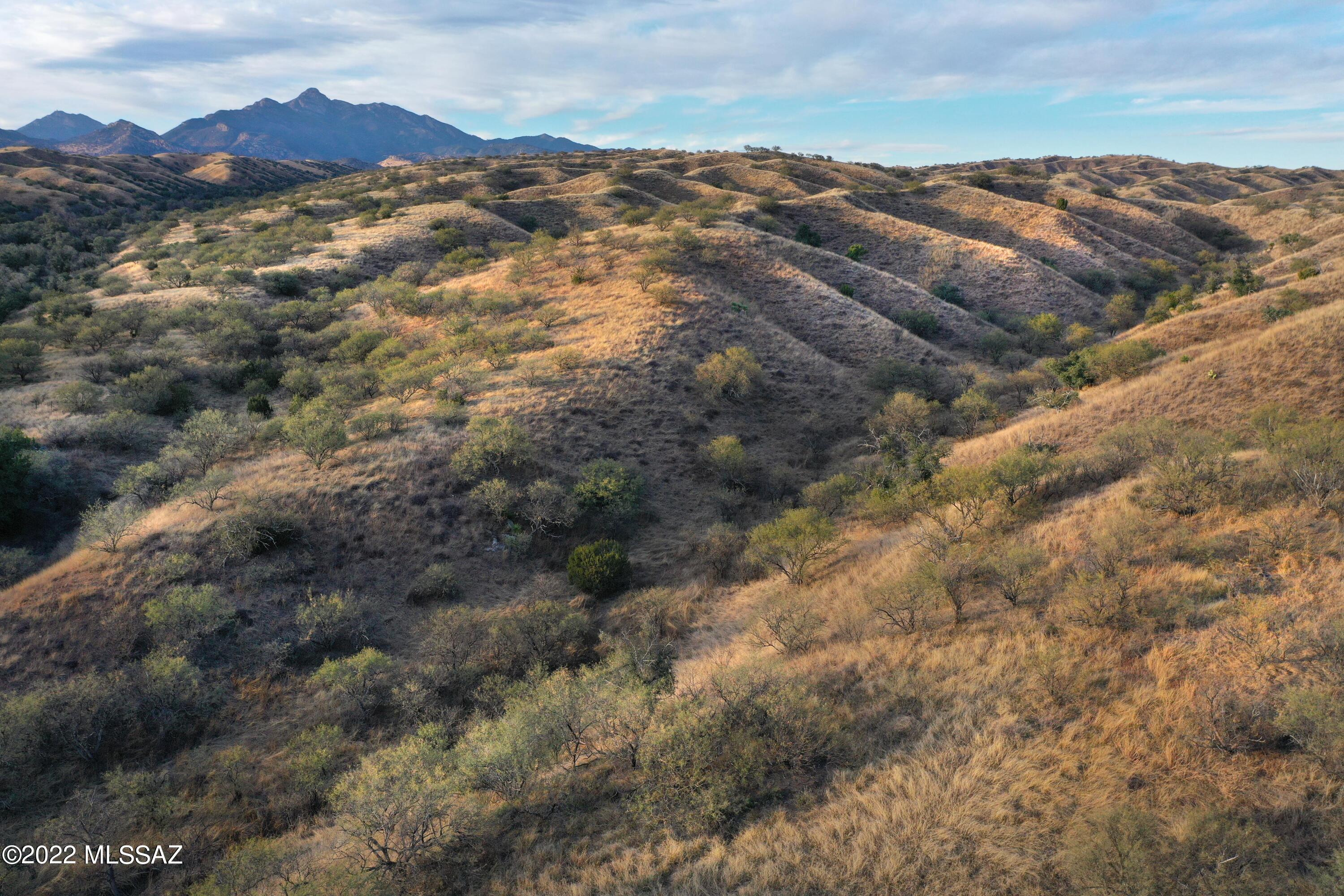 The Estates At Three Canyons - Land