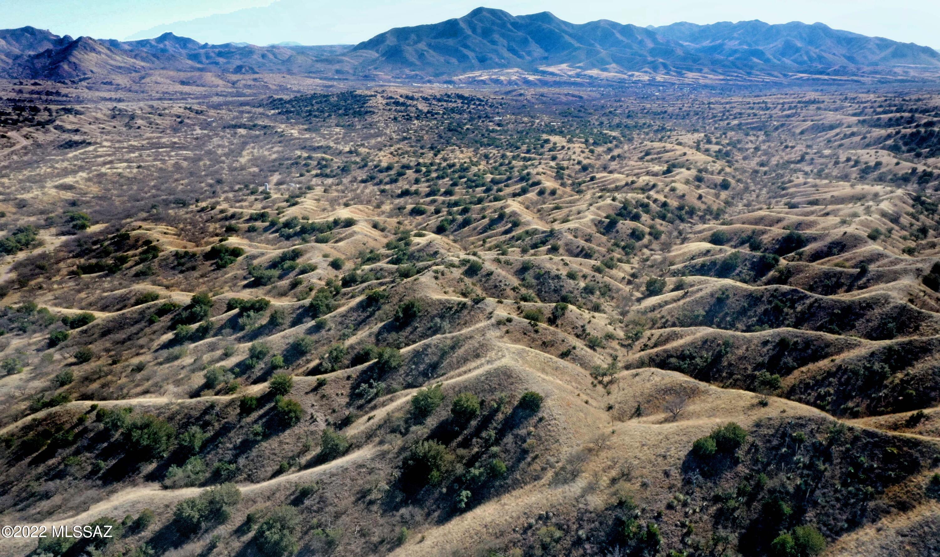 The Estates At Three Canyons - Land