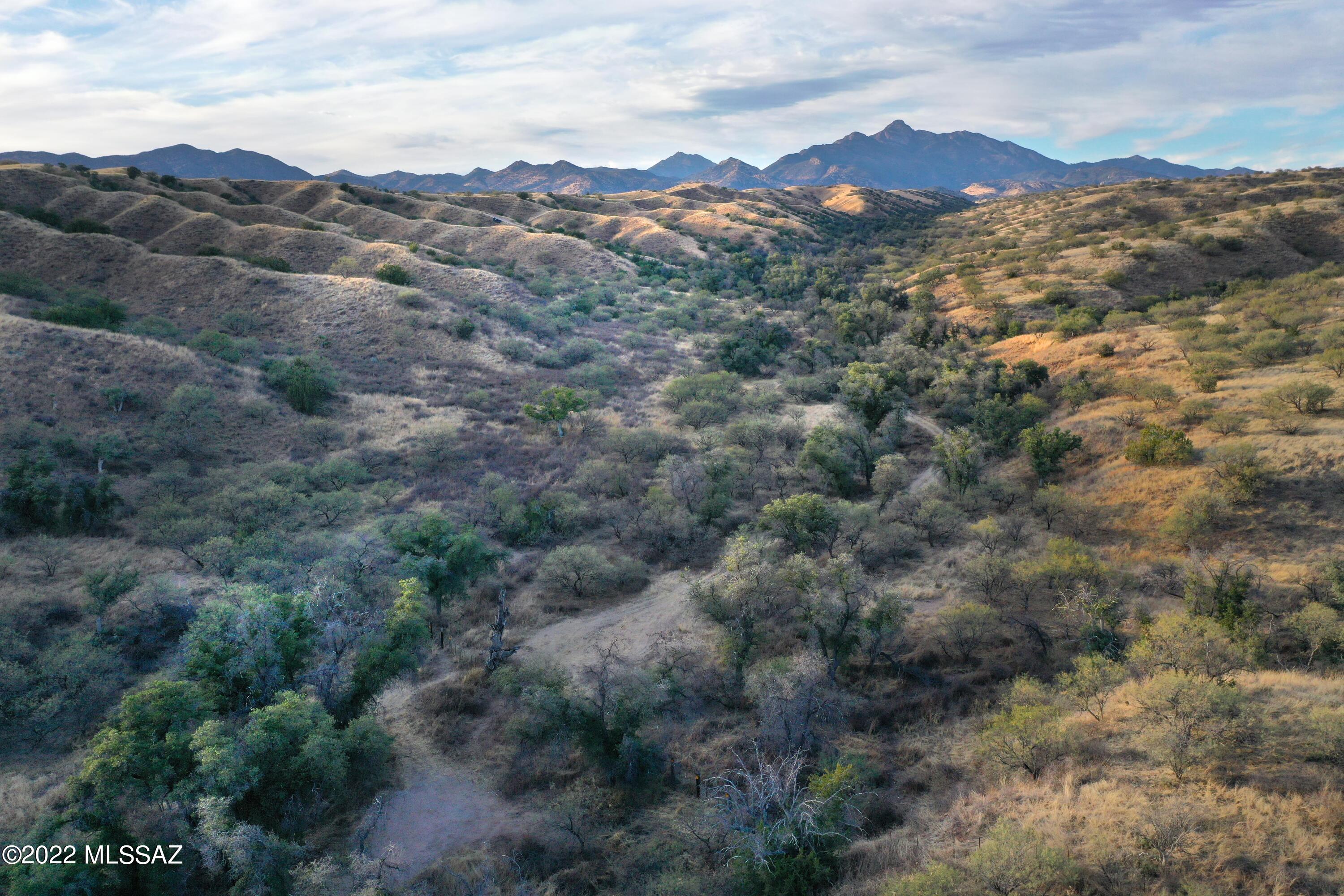 The Estates At Three Canyons - Land