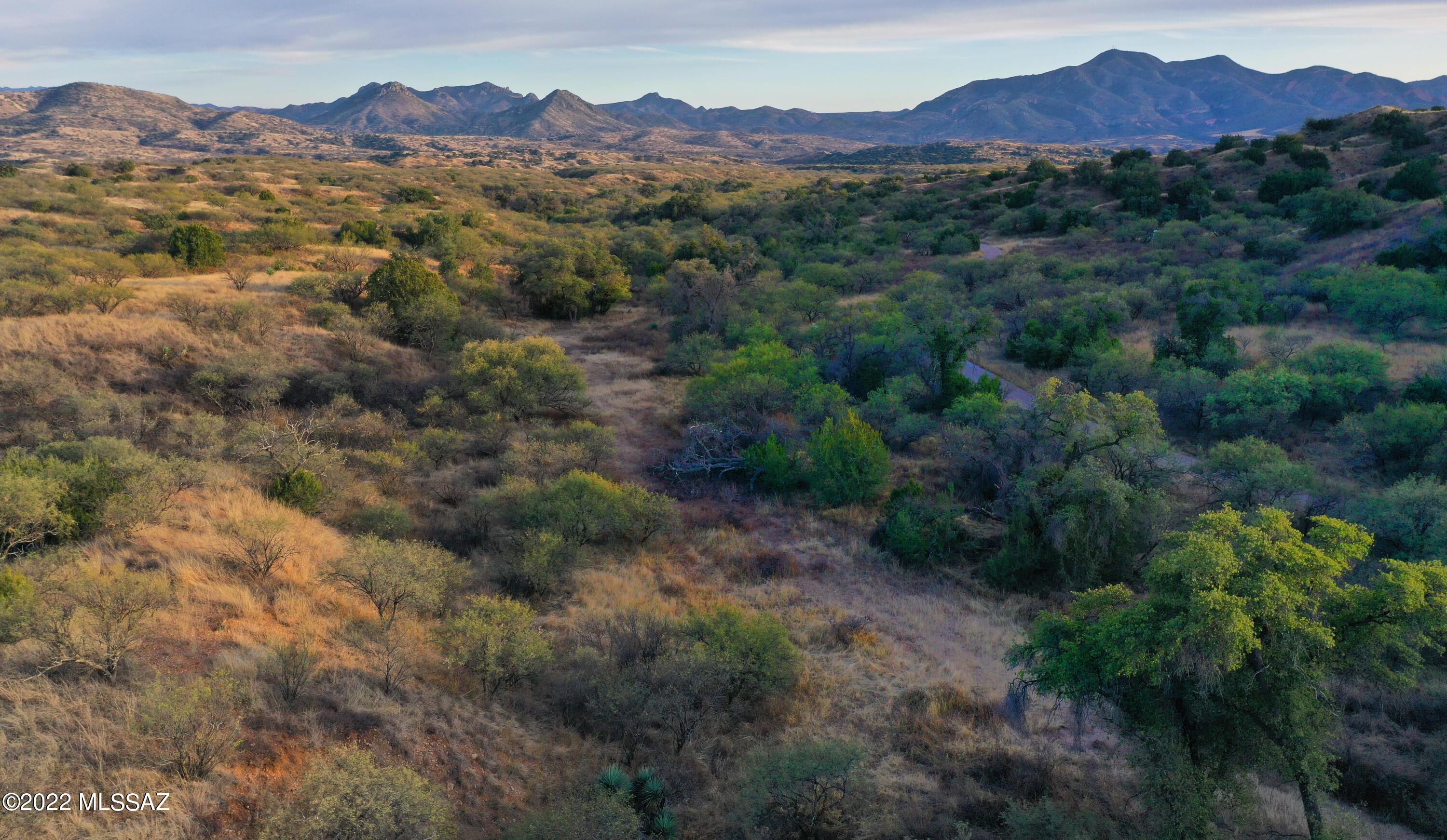 The Estates At Three Canyons - Land