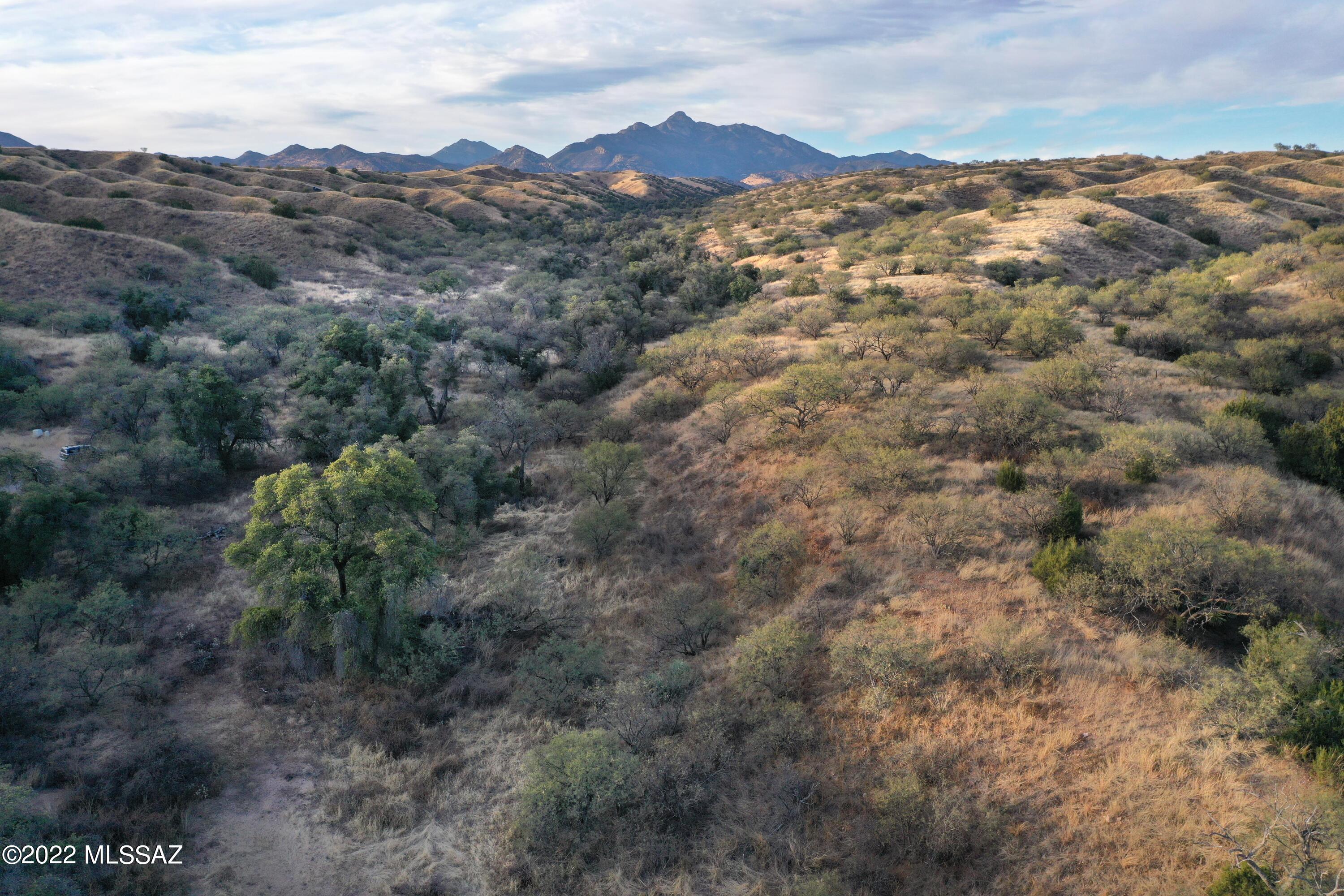 The Estates At Three Canyons - Land
