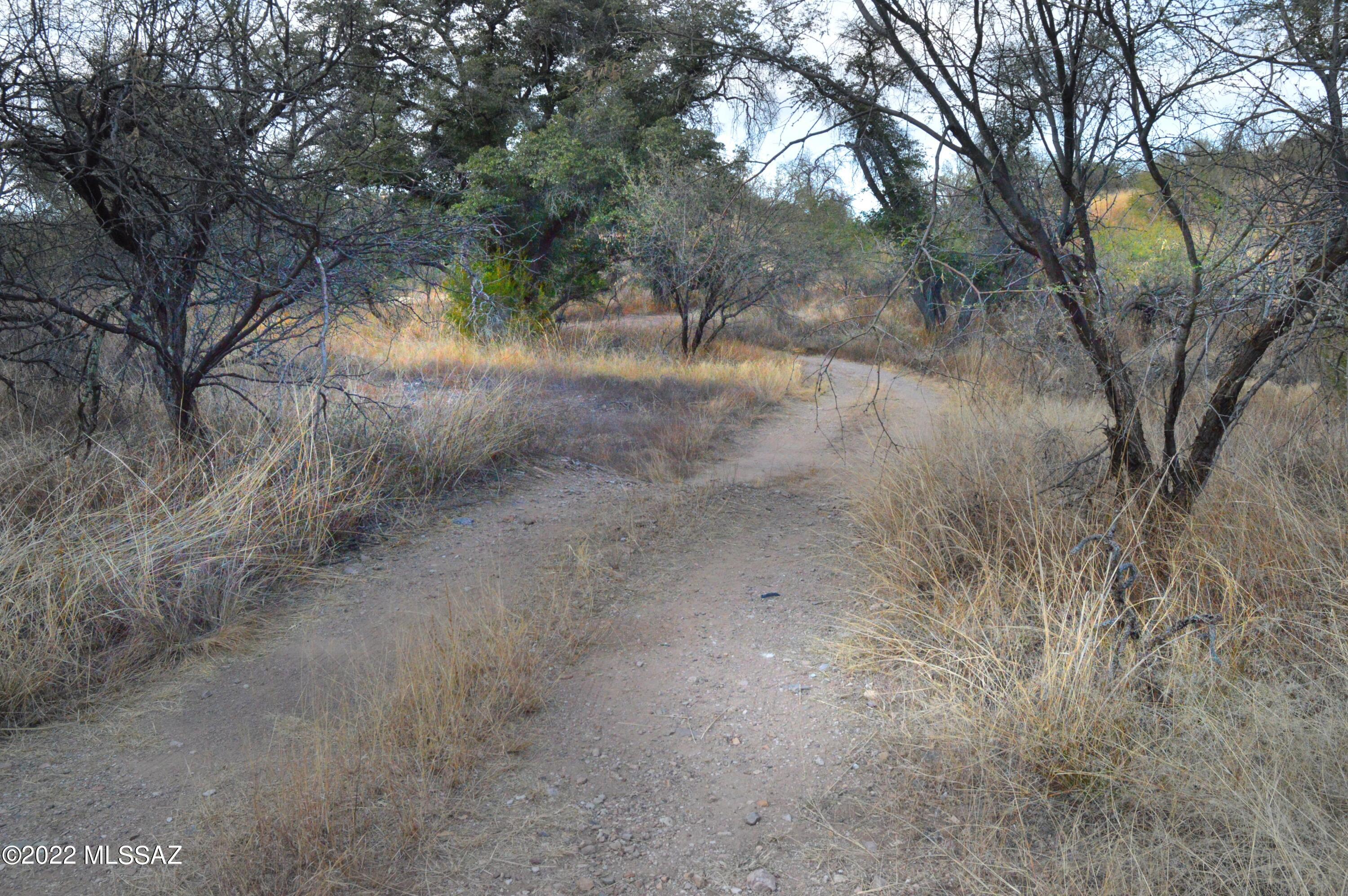 The Estates At Three Canyons - Land