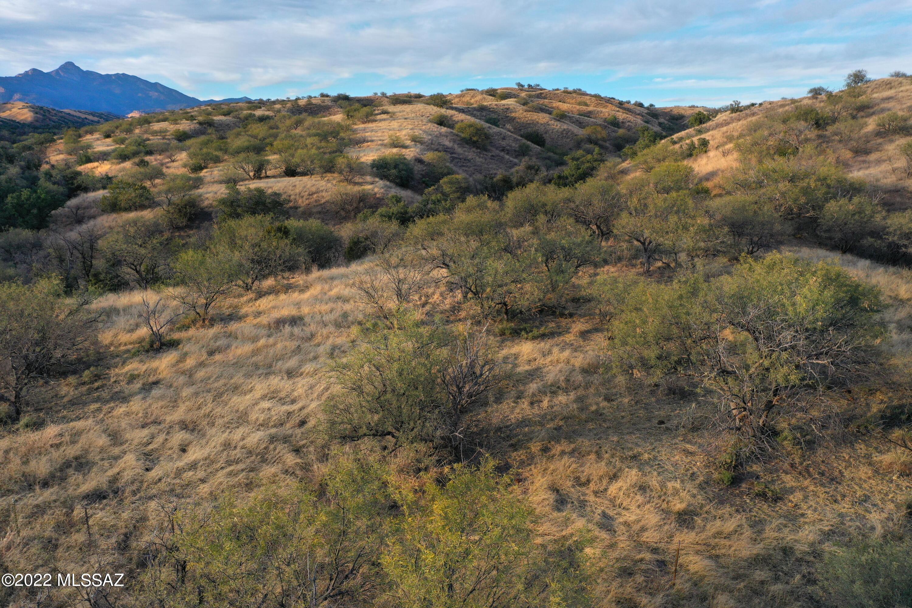 The Estates At Three Canyons - Land