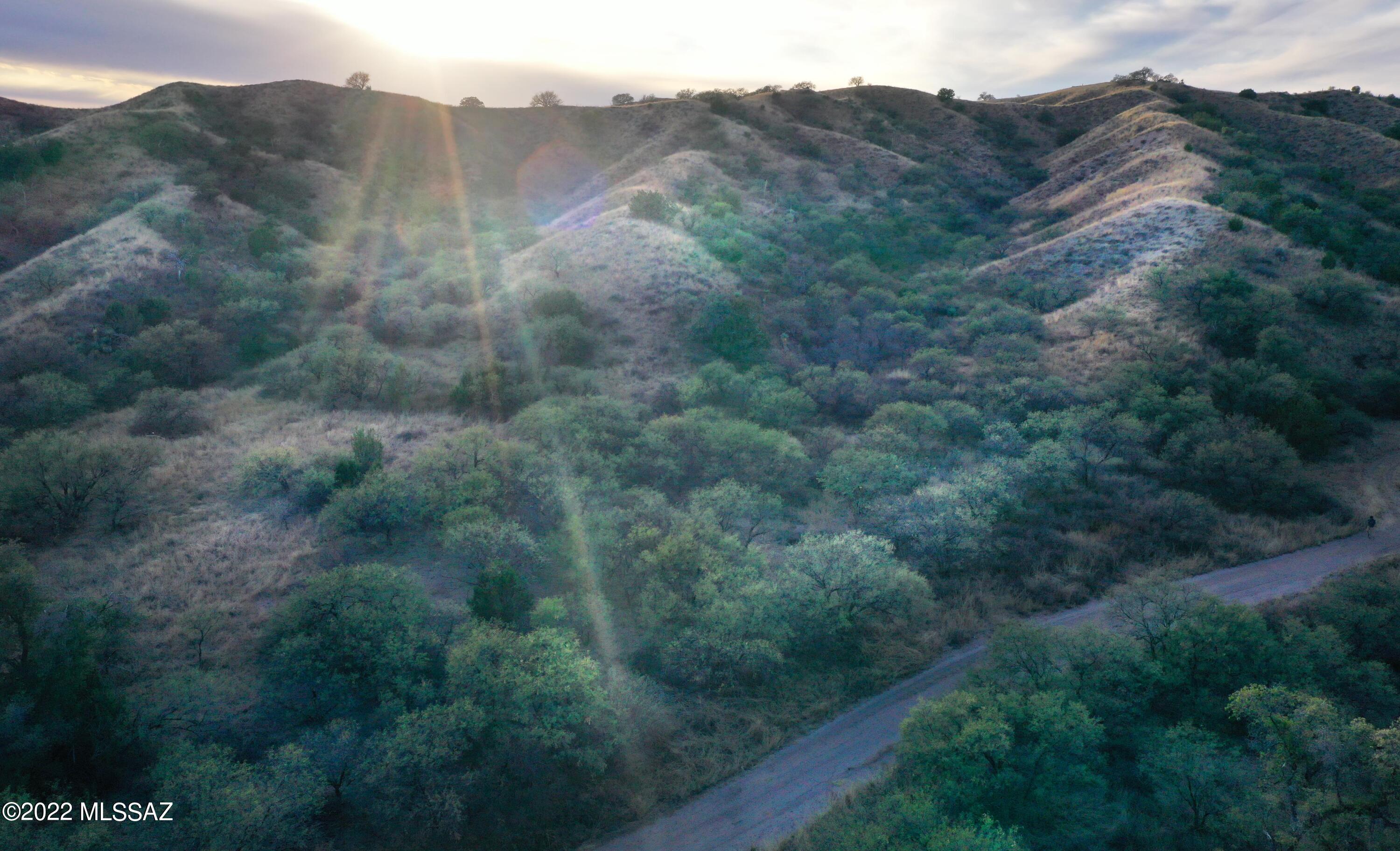 The Estates At Three Canyons - Land