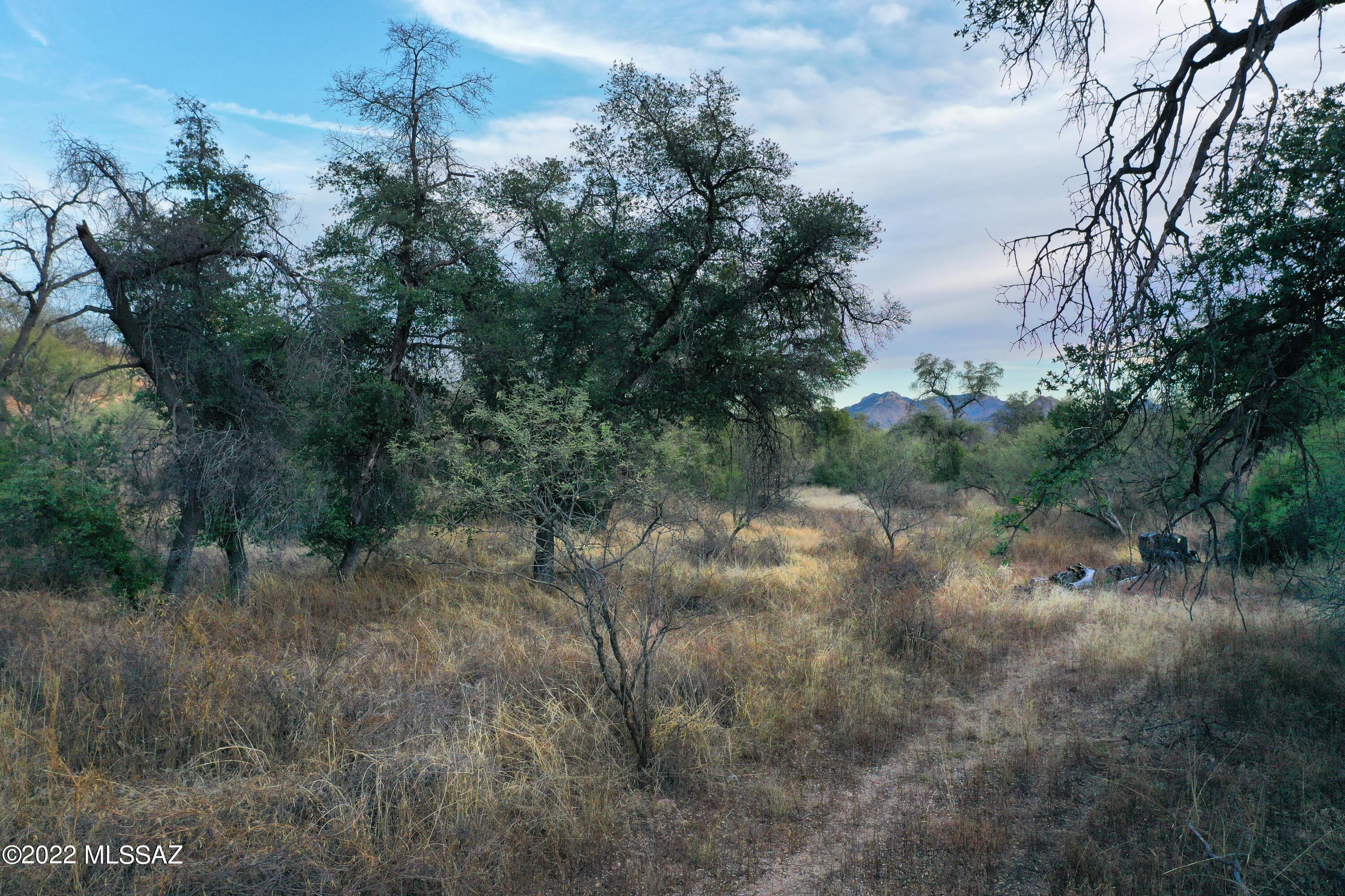 The Estates At Three Canyons - Land