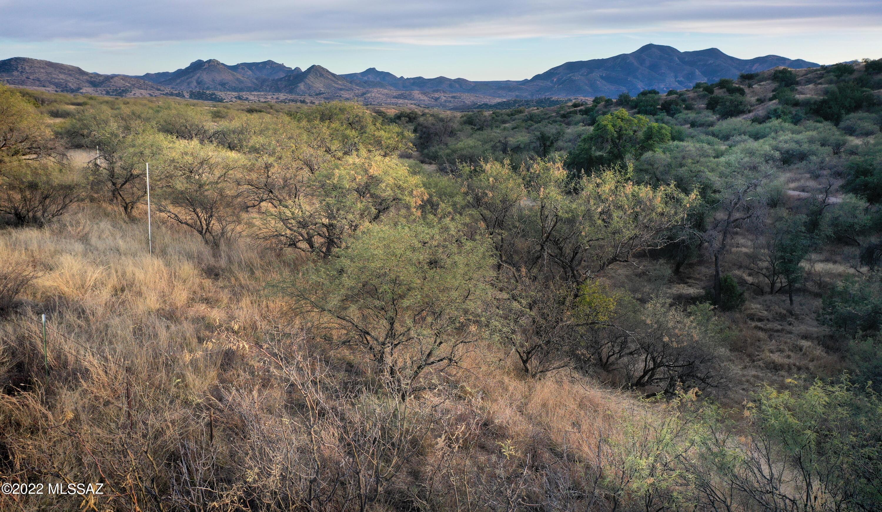 The Estates At Three Canyons - Land