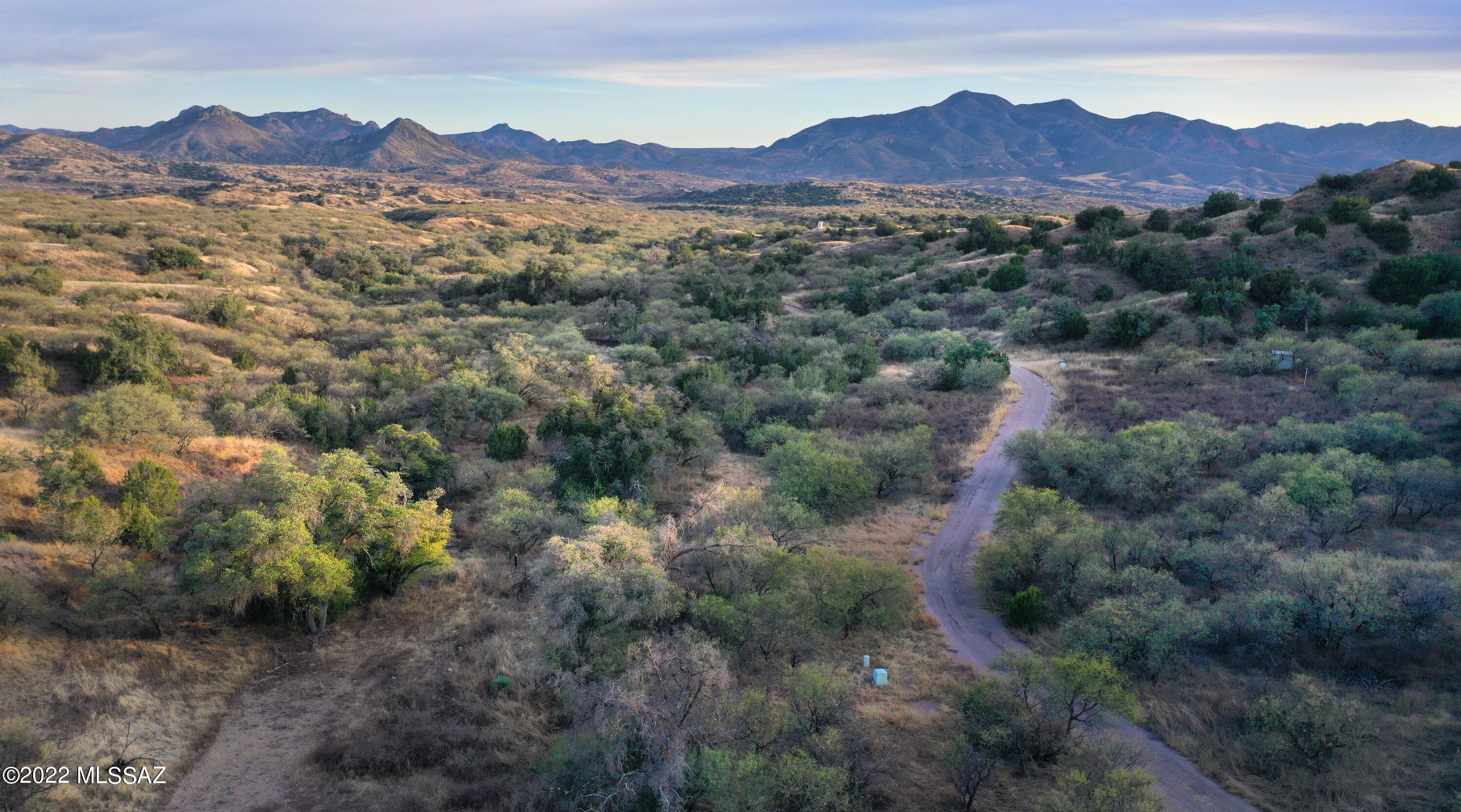 The Estates At Three Canyons - Land