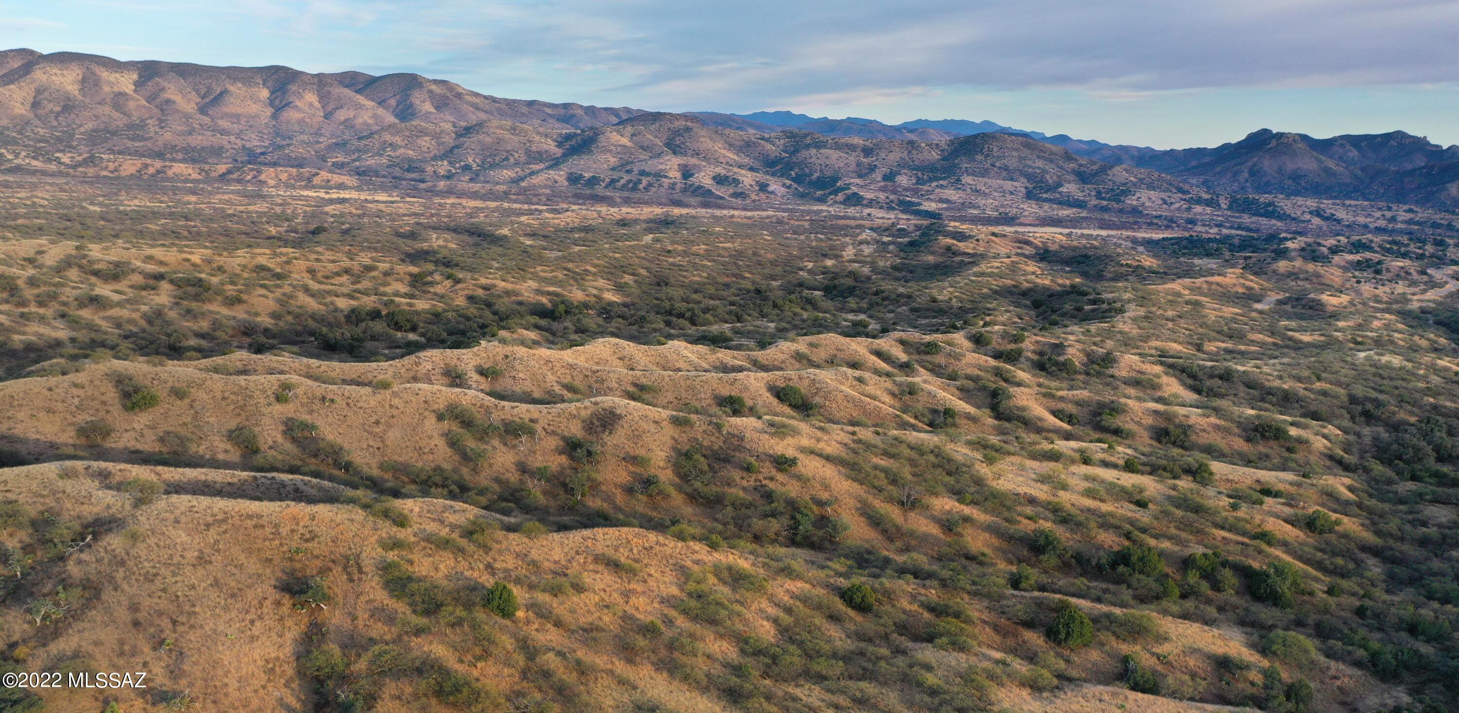 The Estates At Three Canyons - Land