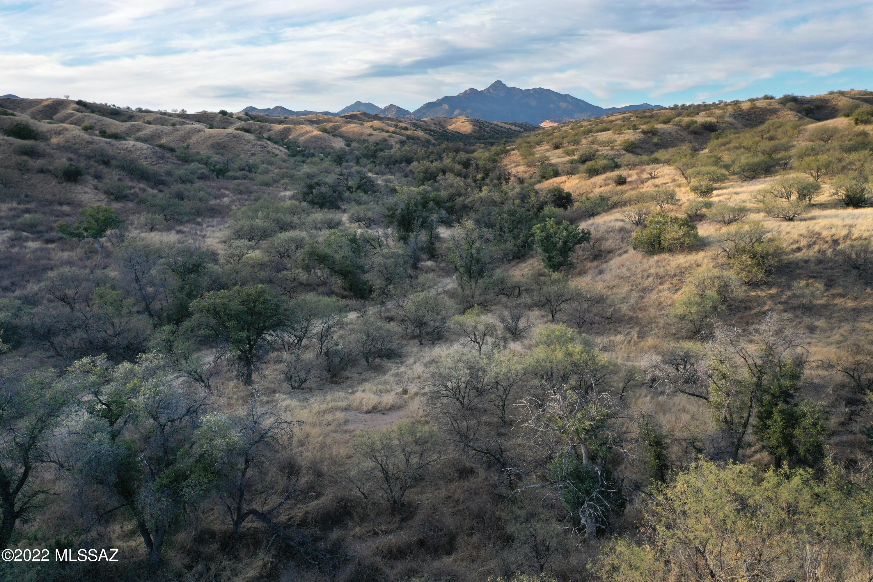 The Estates At Three Canyons - Land