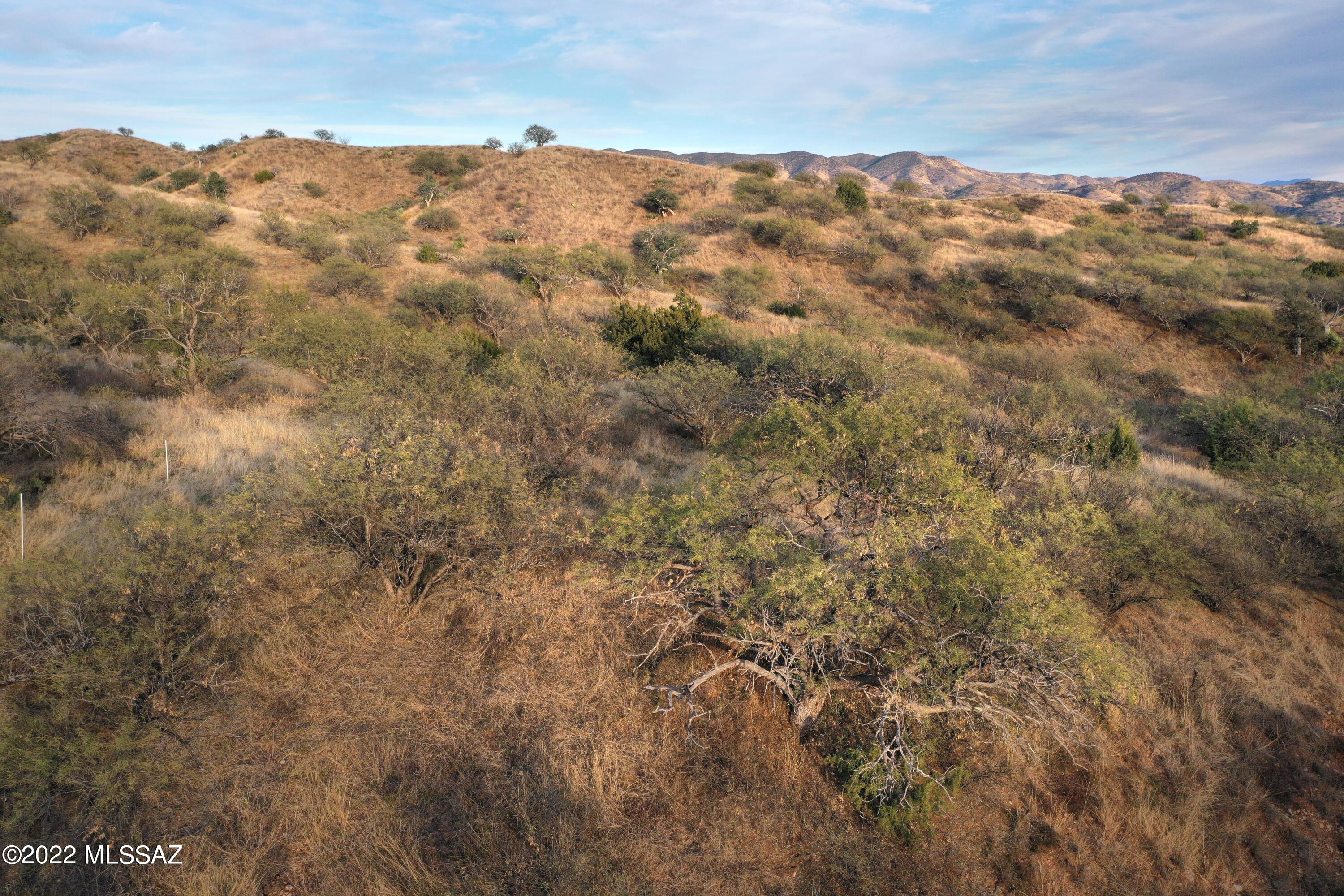 The Estates At Three Canyons - Land