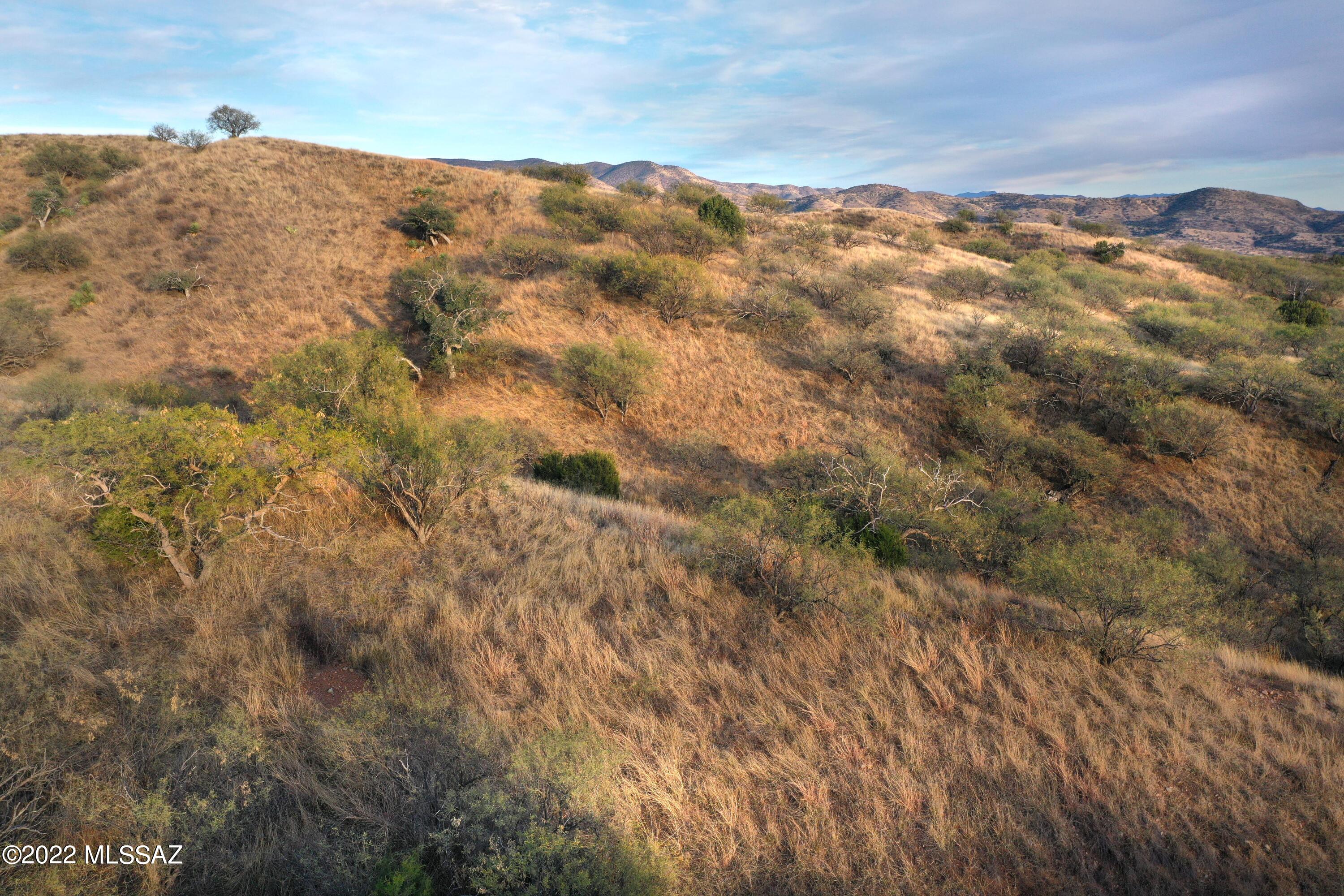 The Estates At Three Canyons - Land