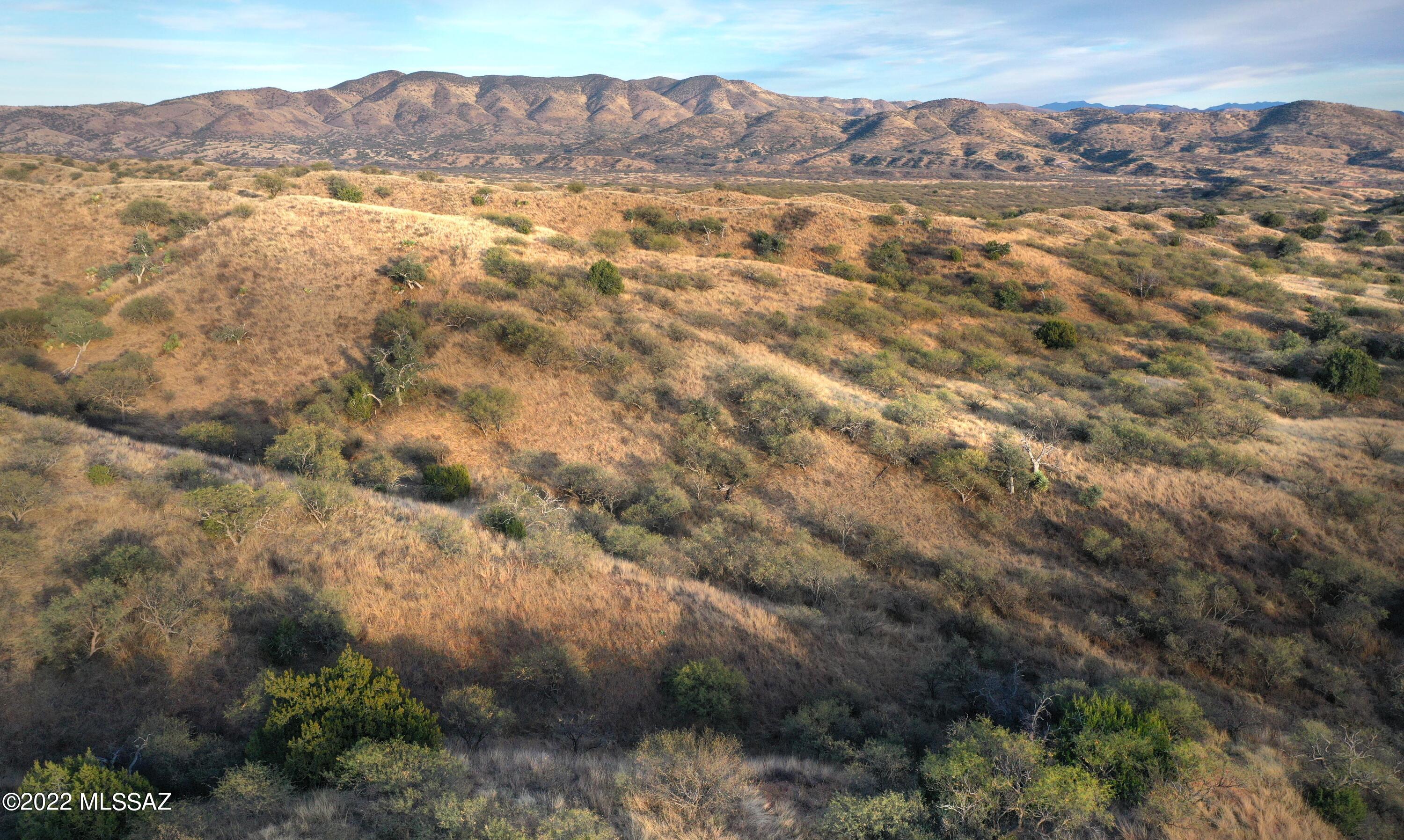 The Estates At Three Canyons - Land