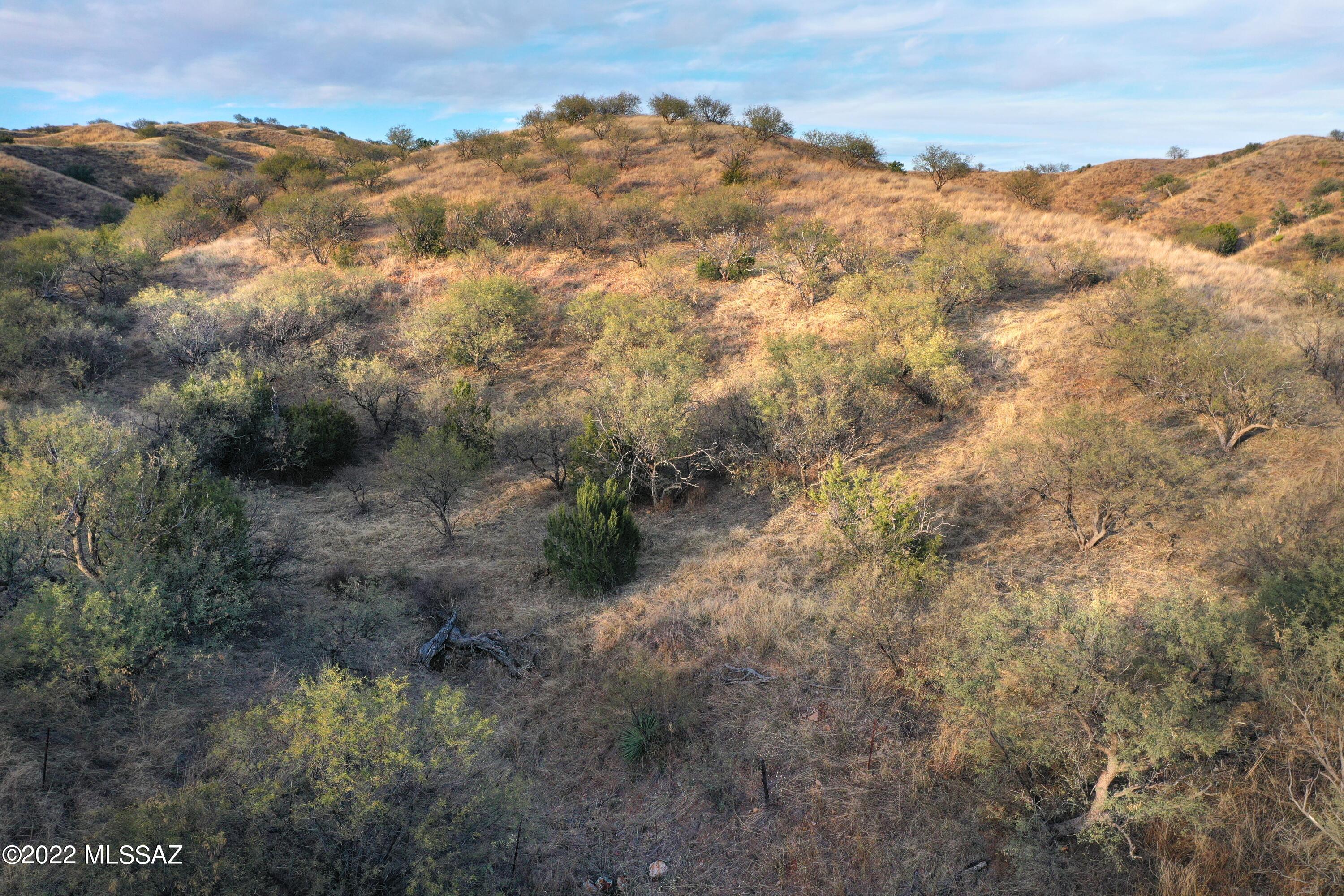 The Estates At Three Canyons - Land