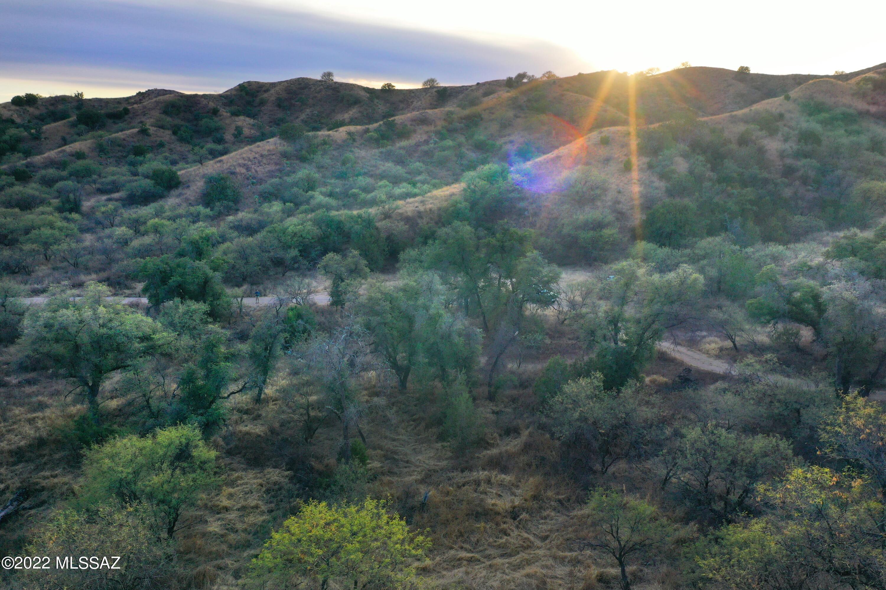 The Estates At Three Canyons - Land