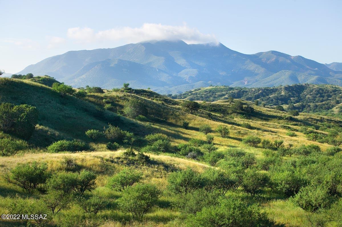 The Estates At Three Canyons - Land