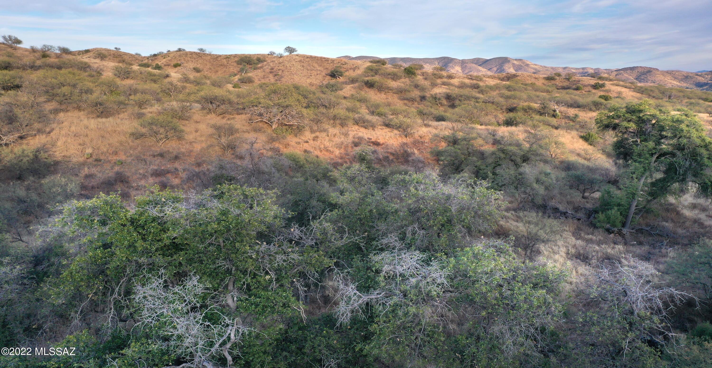 The Estates At Three Canyons - Land
