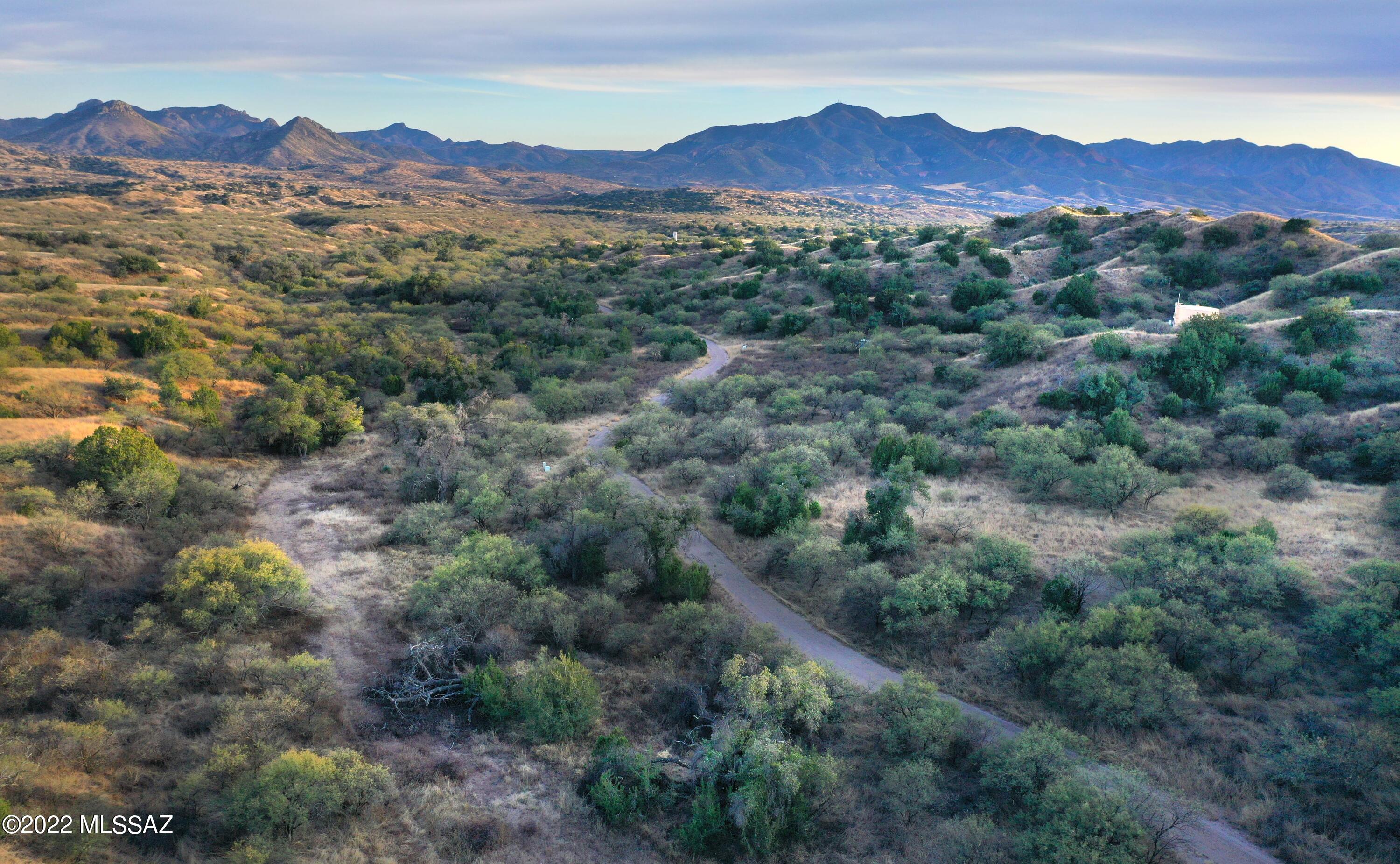 The Estates At Three Canyons - Land