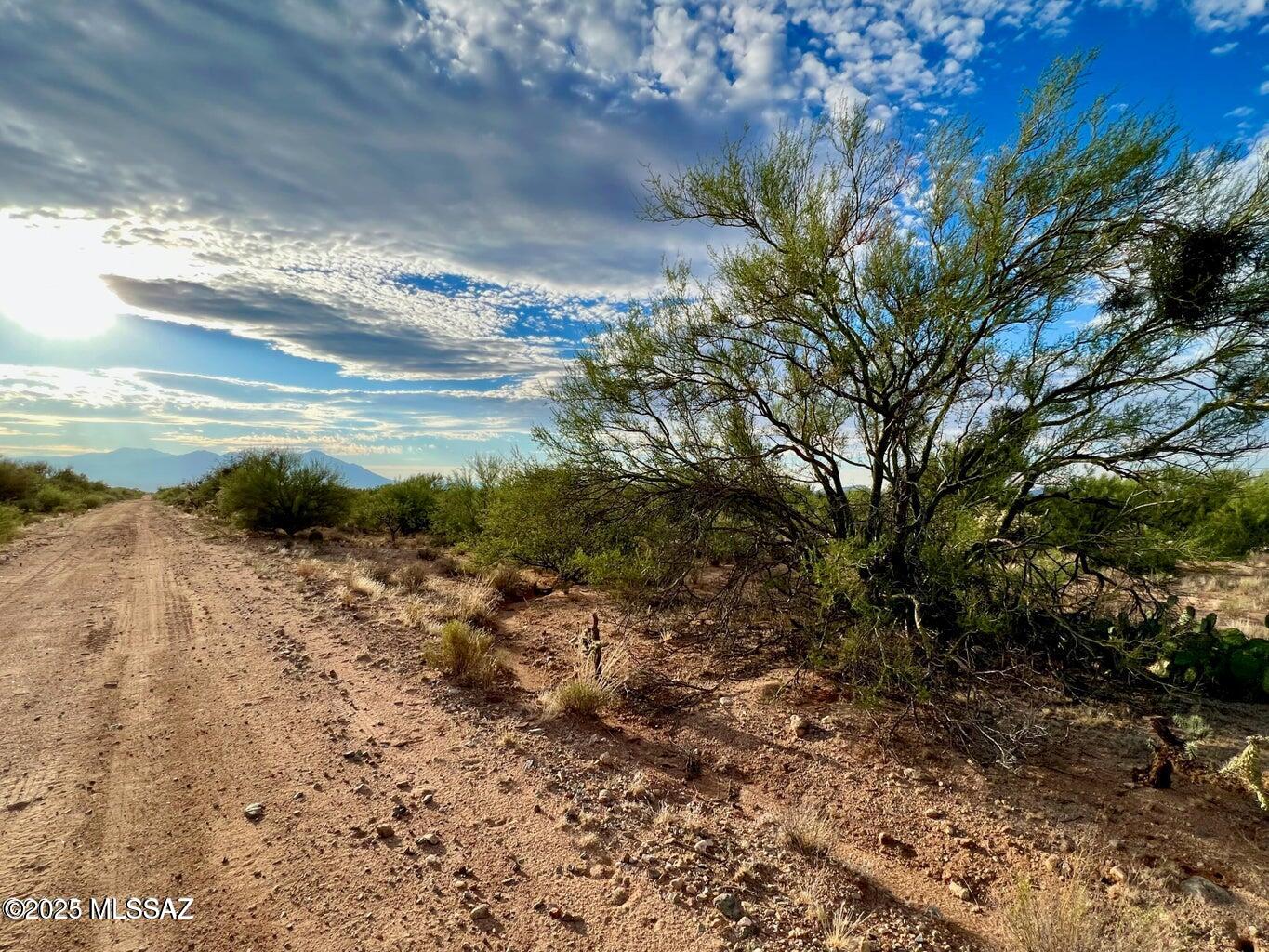 15966 W Phillips Road 270