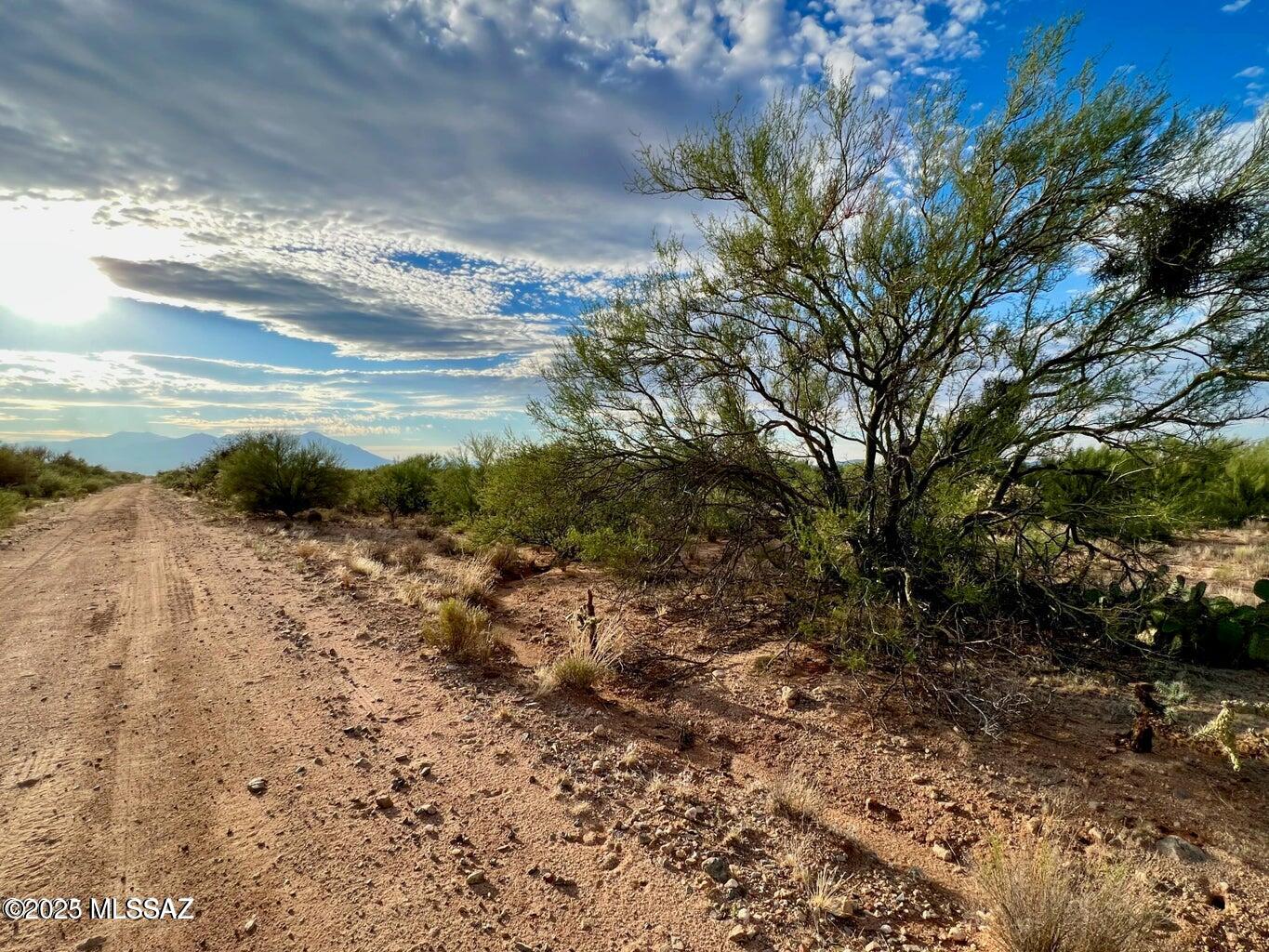 15966 W Phillips Road 270