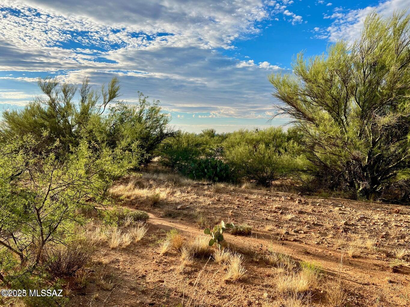 15966 W Phillips Road 270