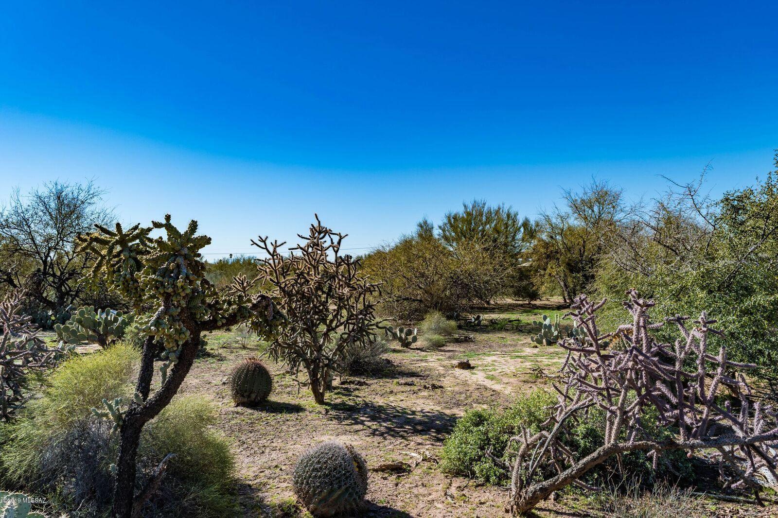 Campo Bello - Land