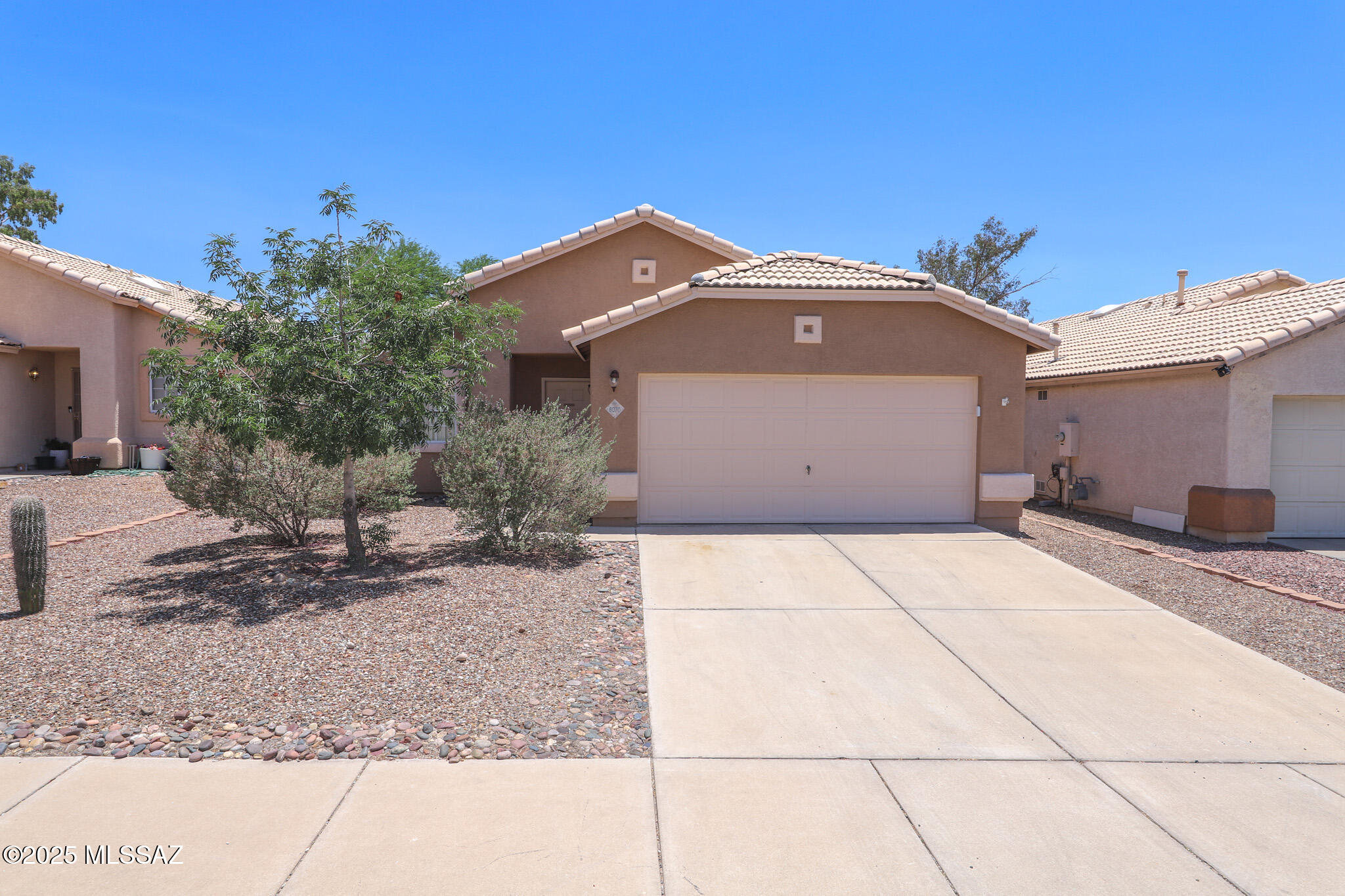8070 N Wild Aster Way