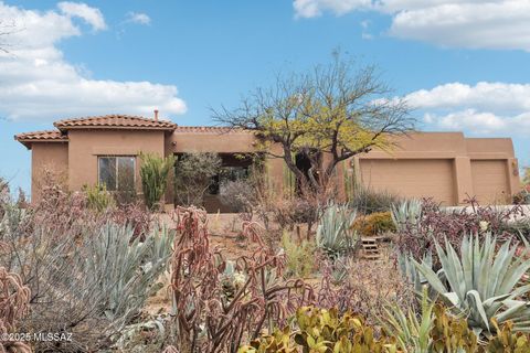 12388 N Washbed Drive Oro Valley AZ 85755