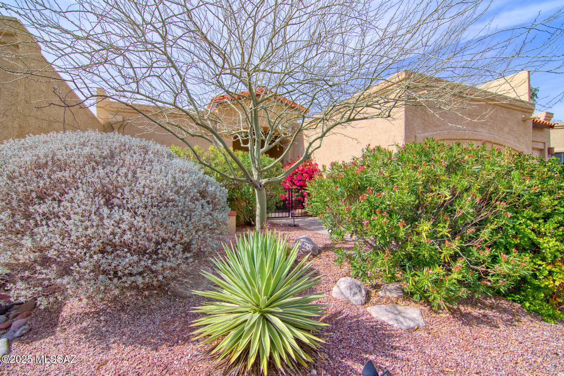 El Conquistador Resort Patio Homes (1-95) - Residential Lease