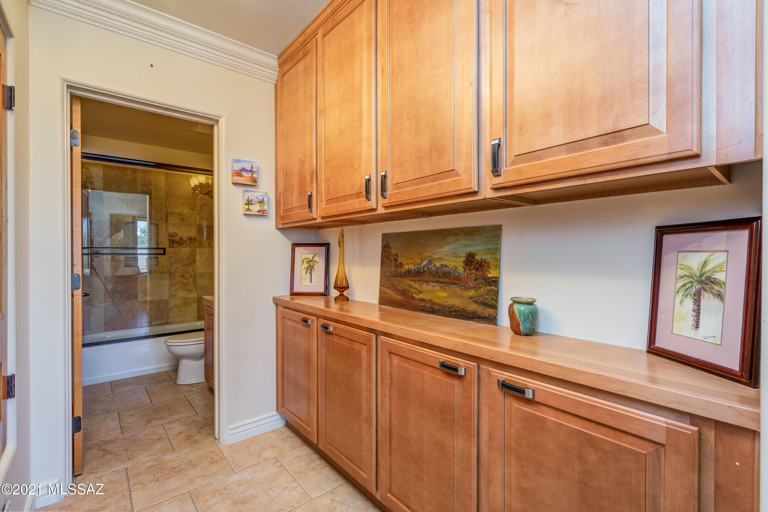 Pusch Ridge Vistas (1-31) - Residential
