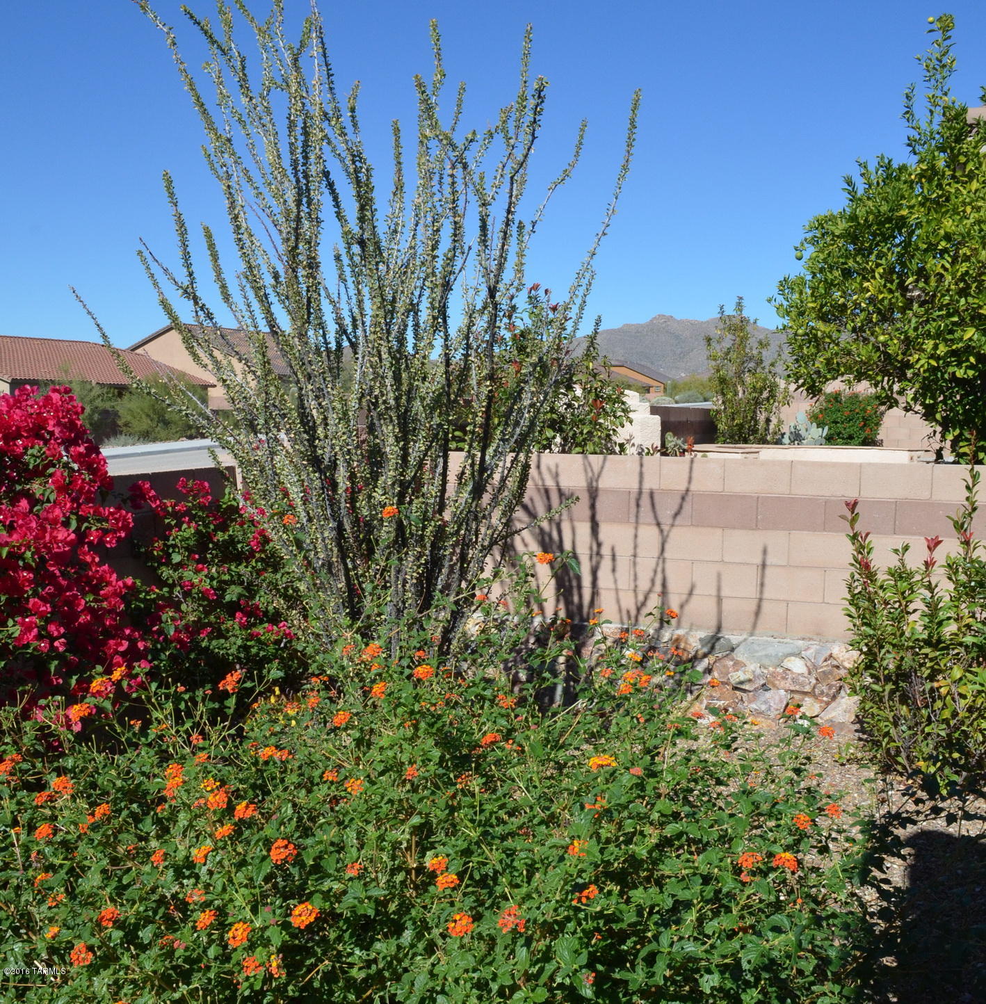 Heritage Highlands III at Dove Mountain (542-719) - Residential