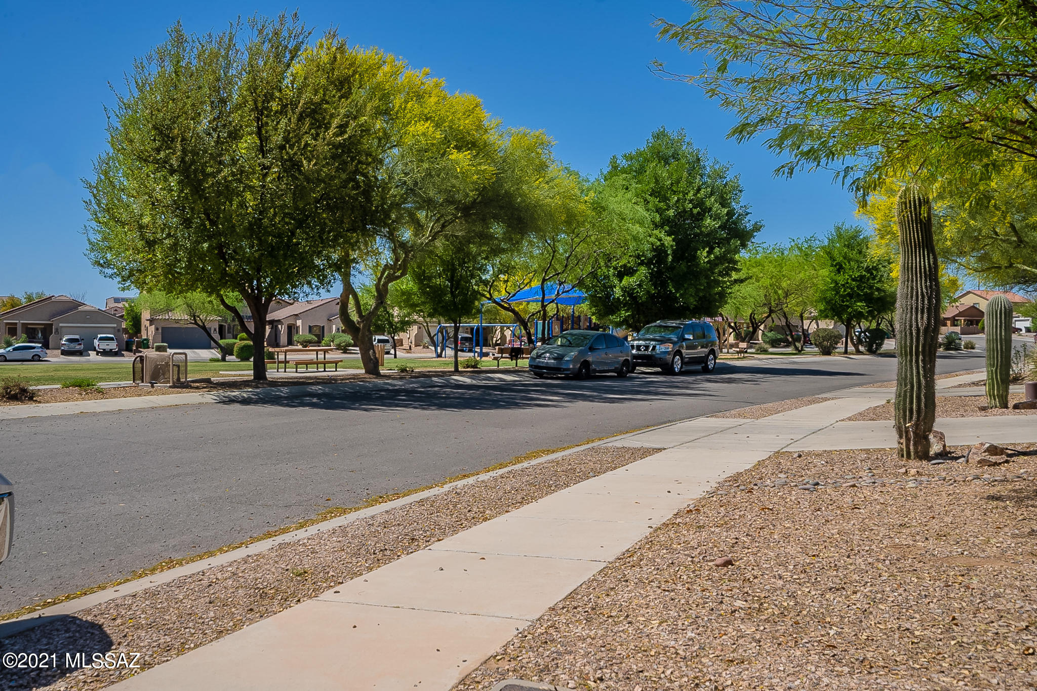 Sonora At Rancho Sahuarita (475-699) - Residential