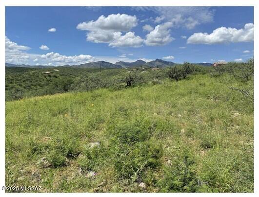 Rio Rico Ranchettes 7 - Land