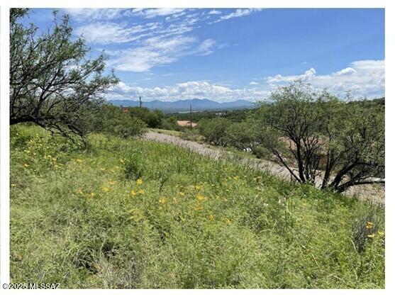 Rio Rico Ranchettes 7 - Land