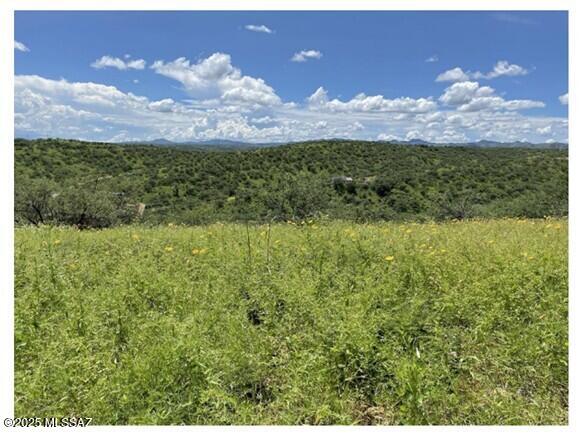 Rio Rico Ranchettes 7 - Land