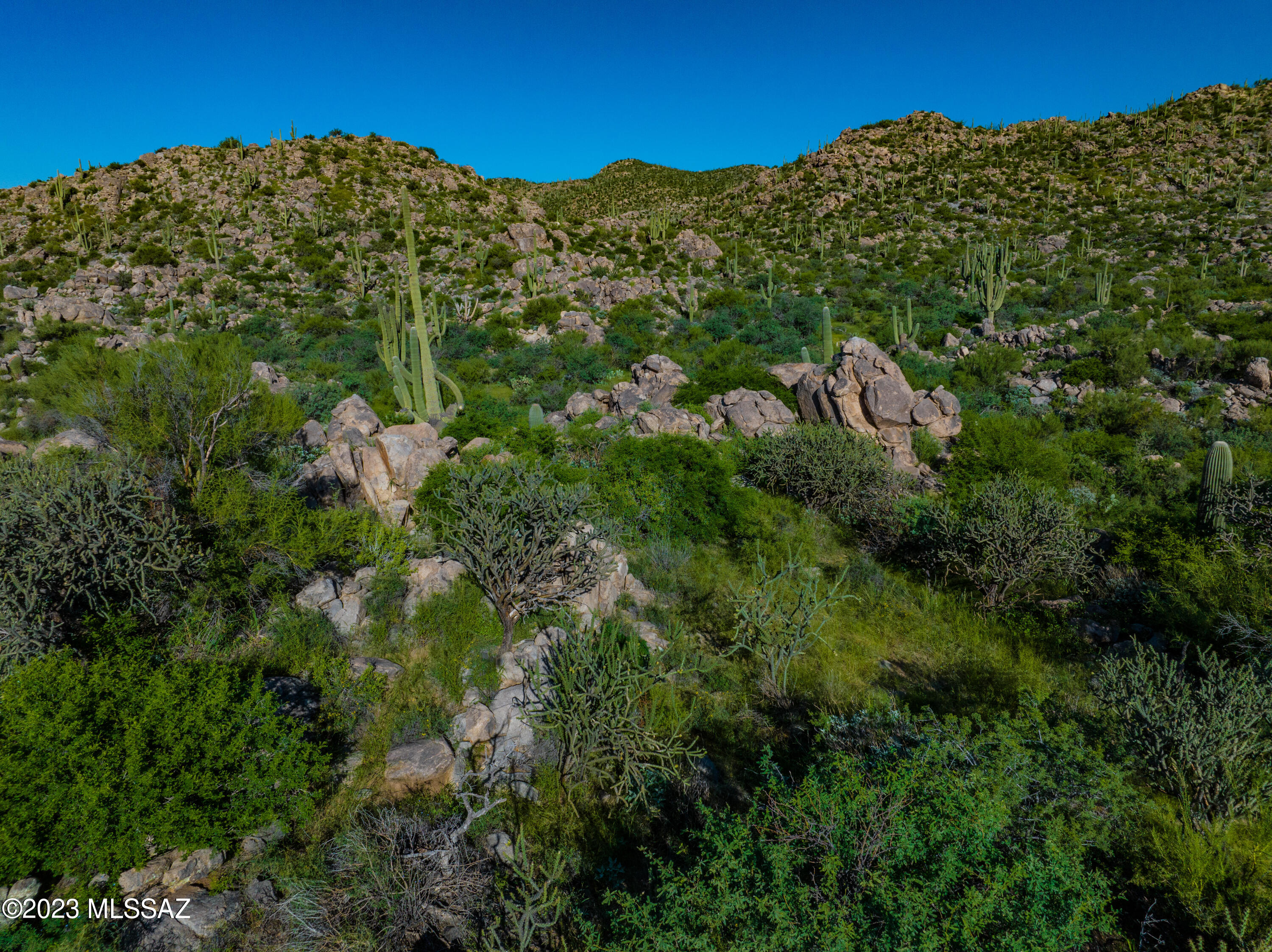 Stone Canyon VII (404-485) - Land