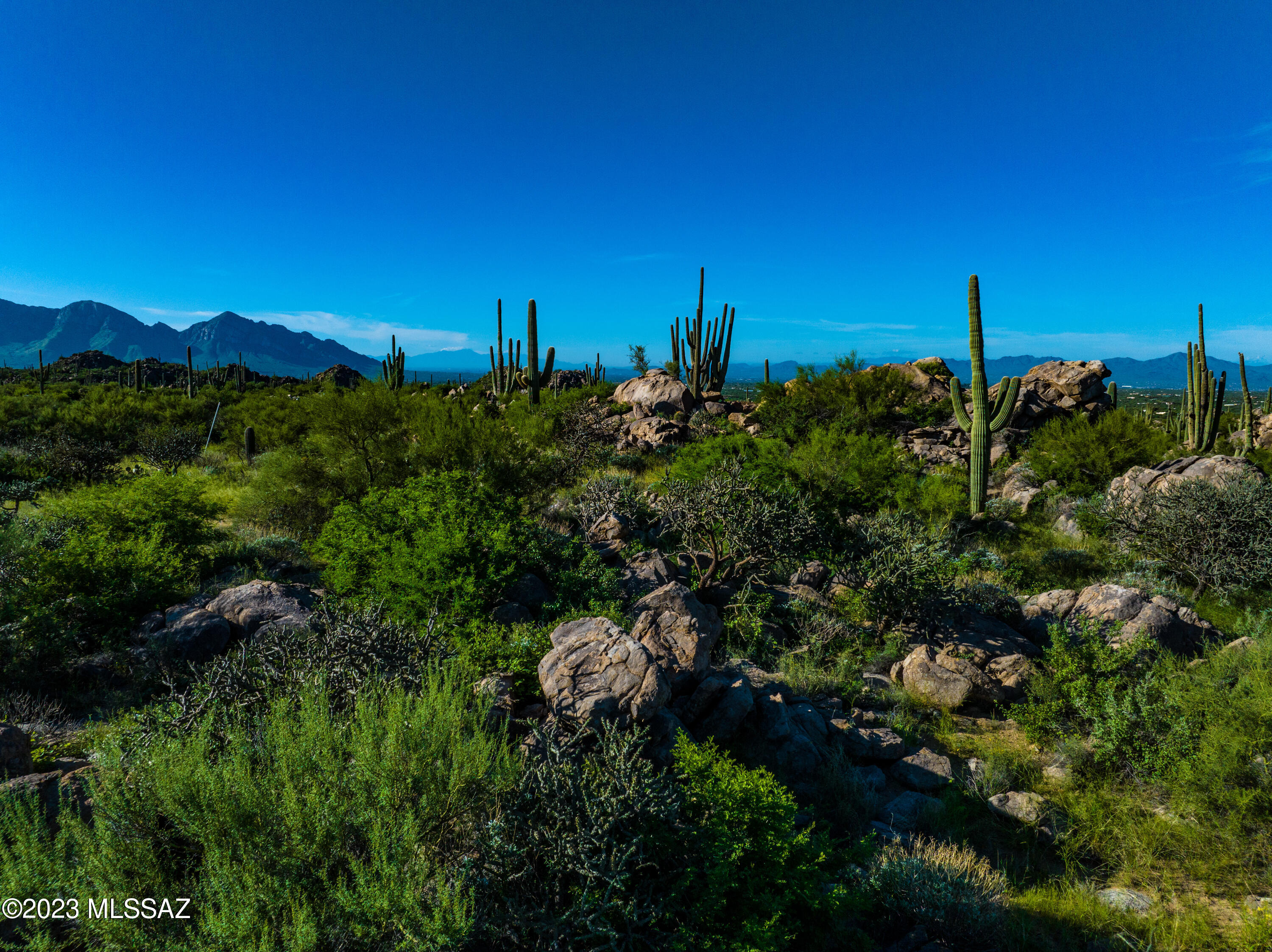 Stone Canyon VII (404-485) - Land
