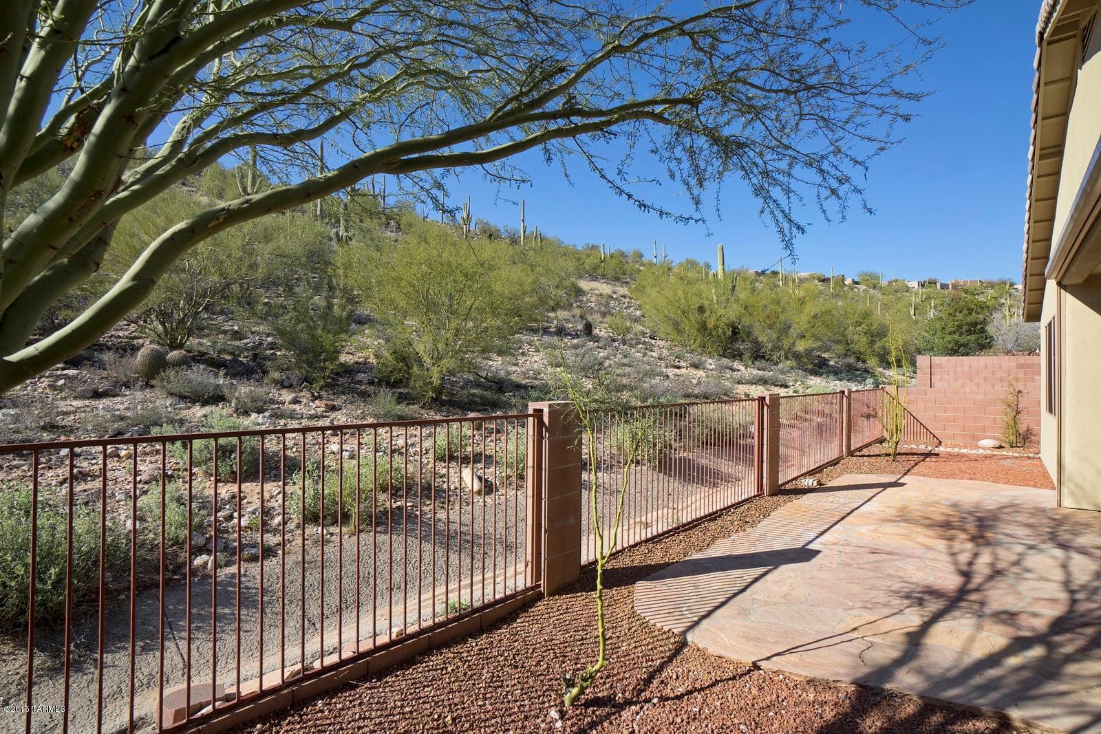 Sabino Mountain (1-290) - Residential