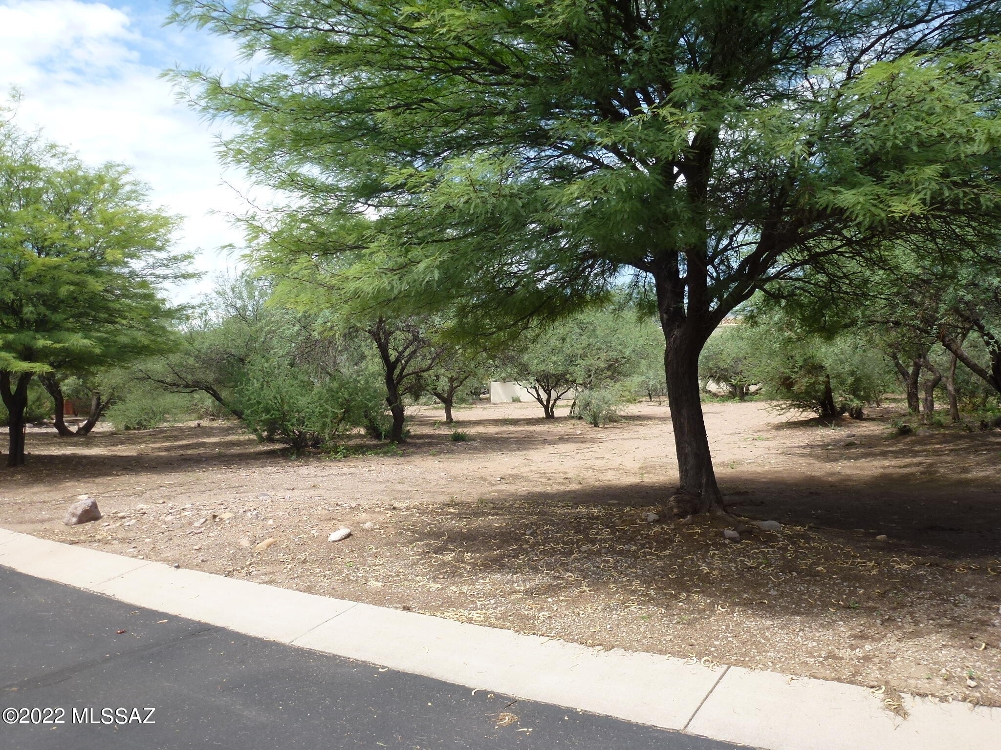 Santiago at Barrio de Tubac - Residential