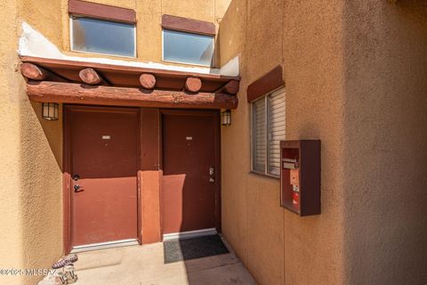 1810 E Blacklidge Drive APT 827 Tucson AZ 85719