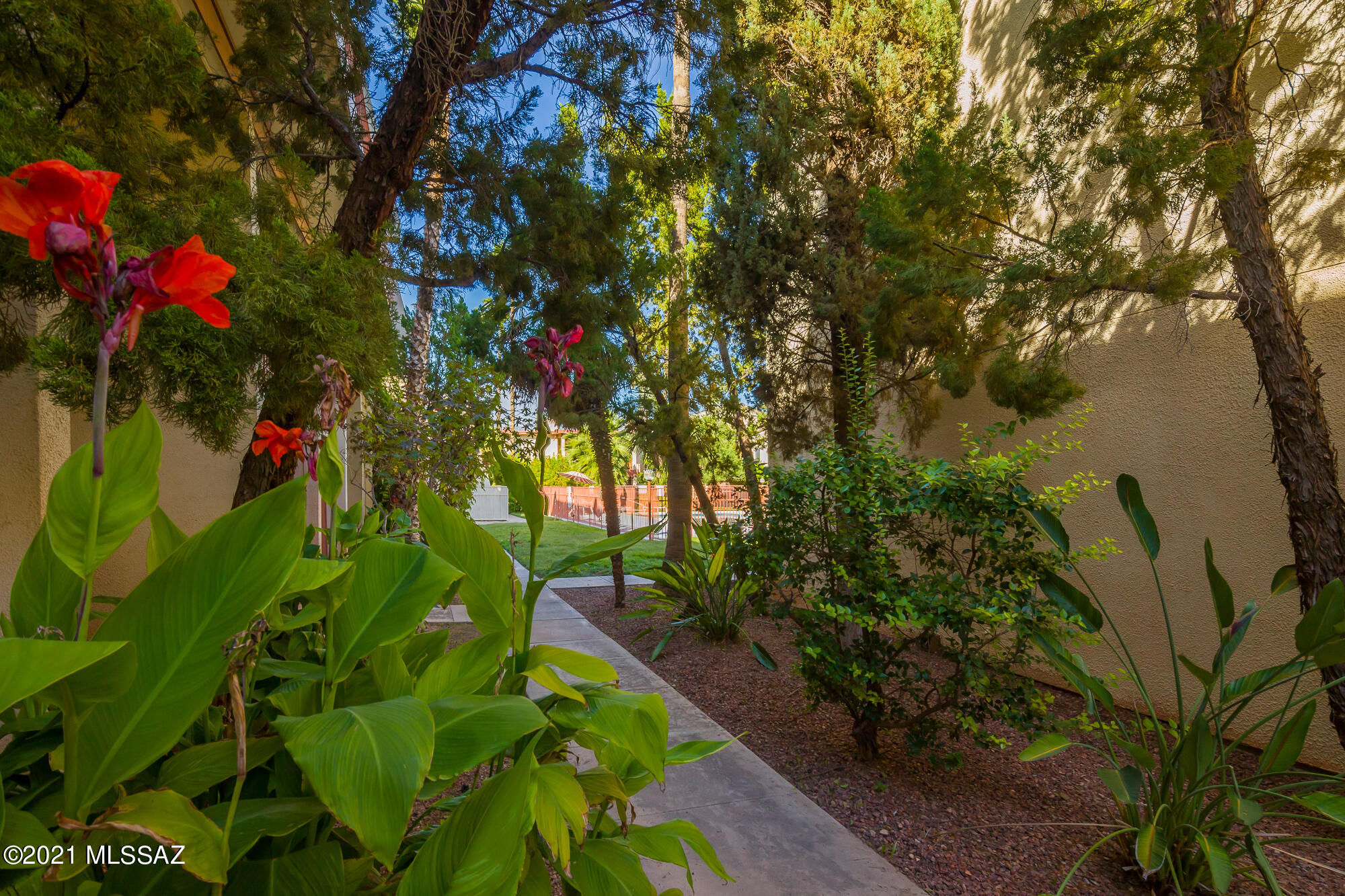 Las Colinas Condominiums - Residential