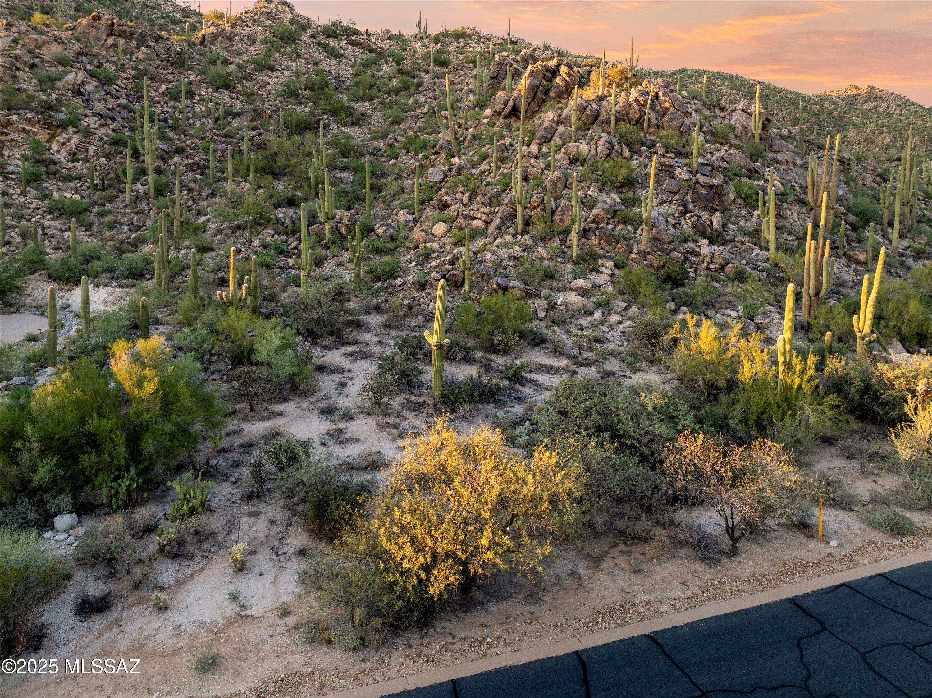 Stone Canyon II - Land