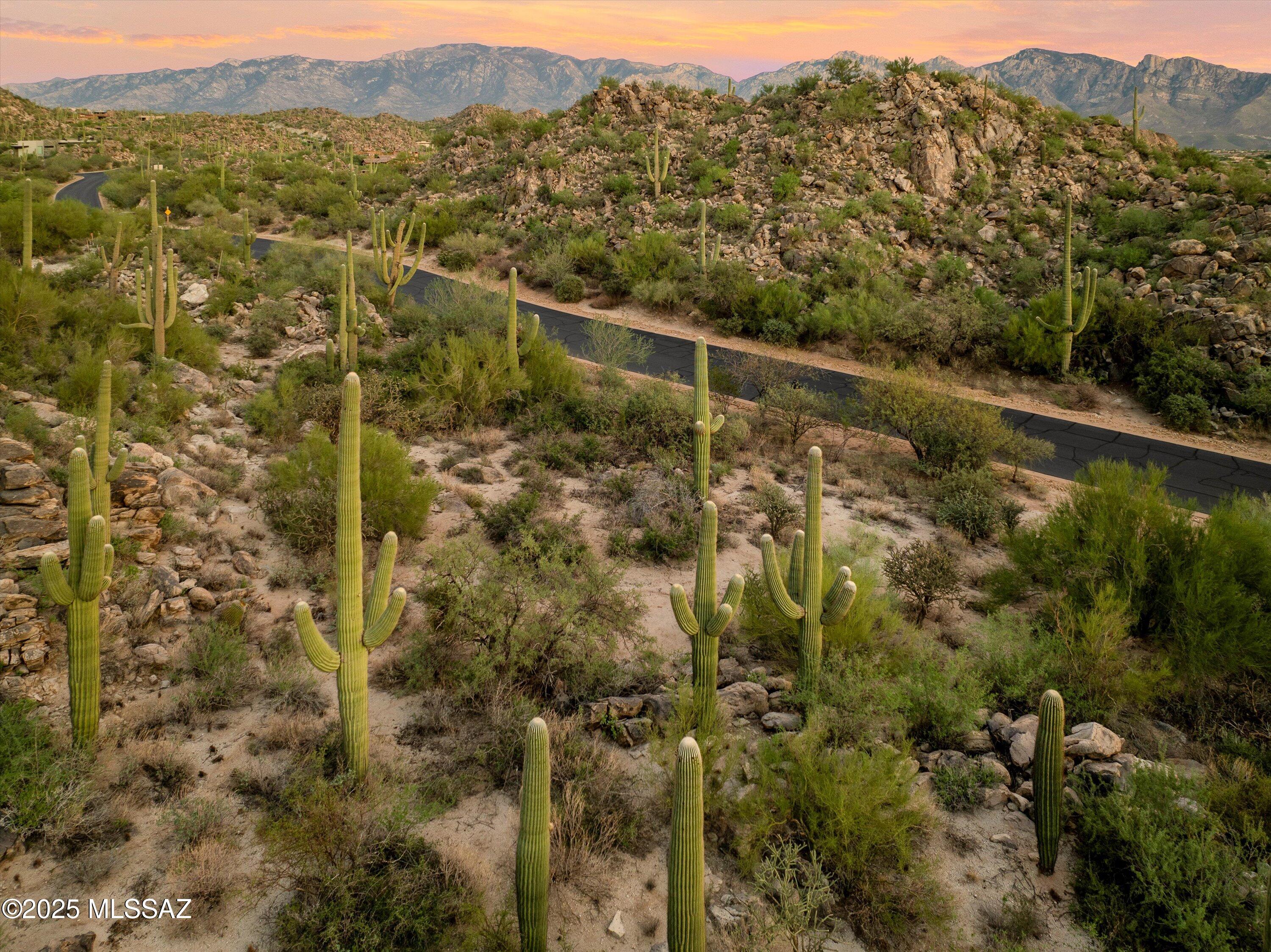Stone Canyon II - Land