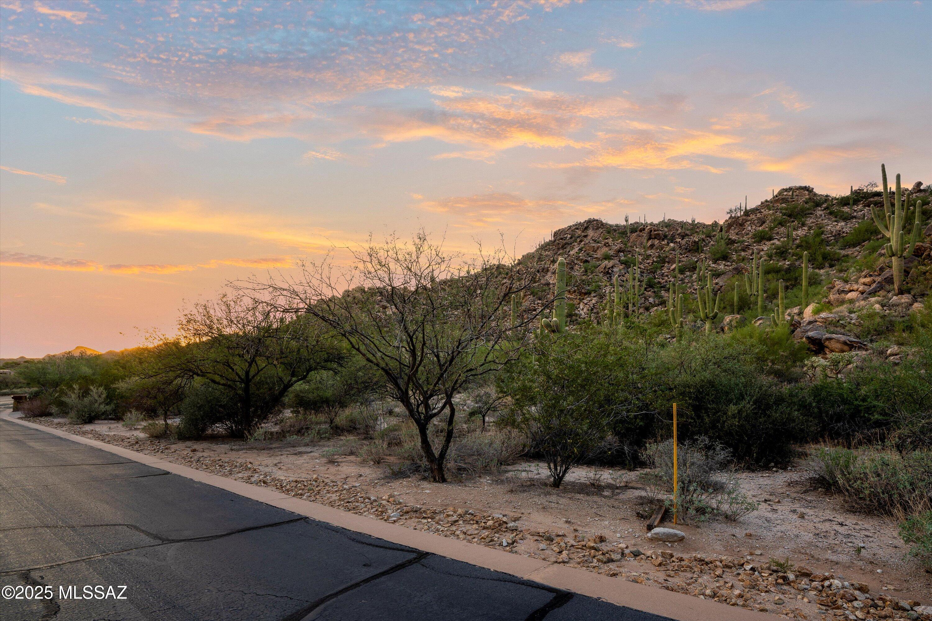 Stone Canyon II - Land