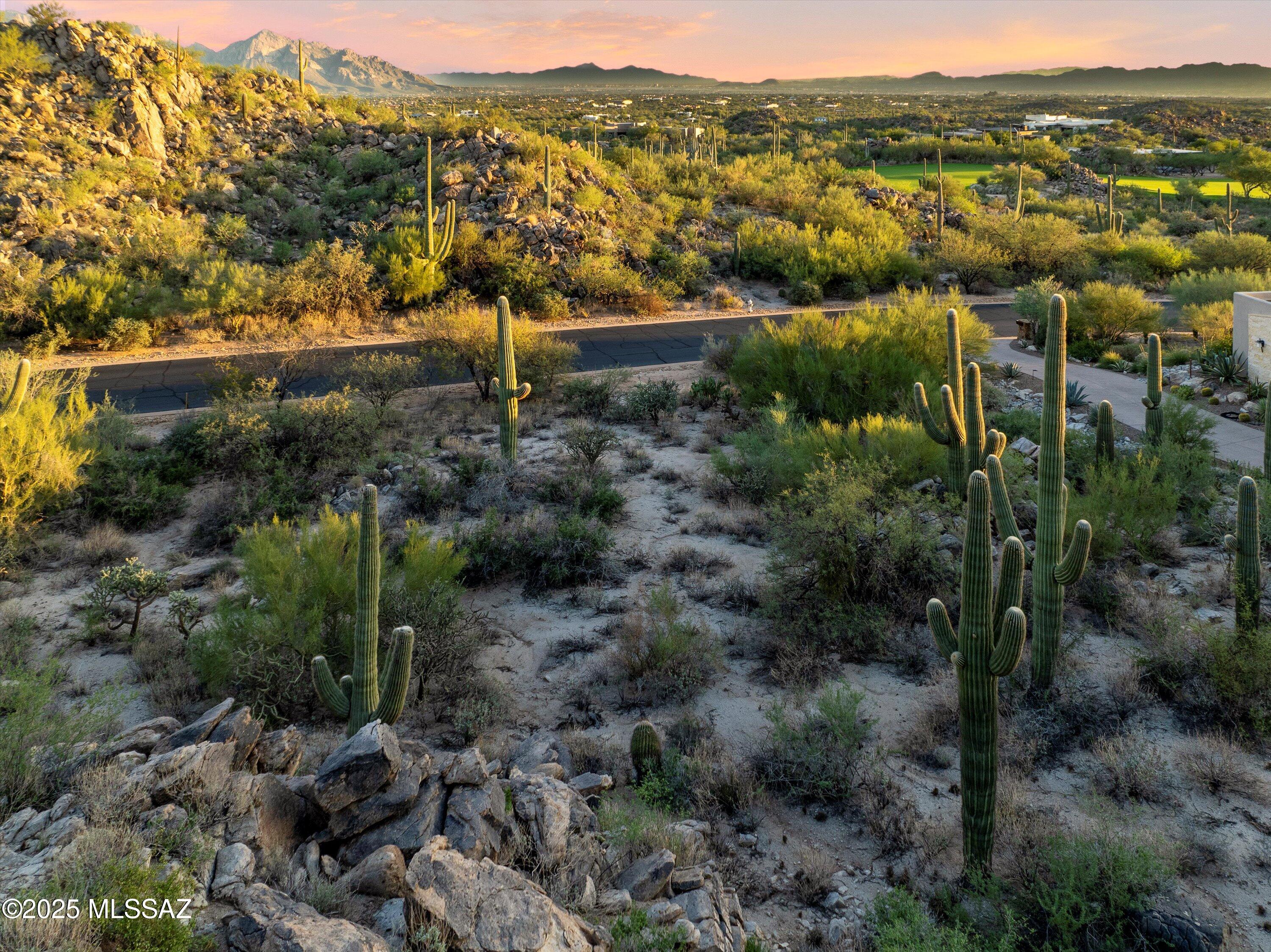 Stone Canyon II - Land