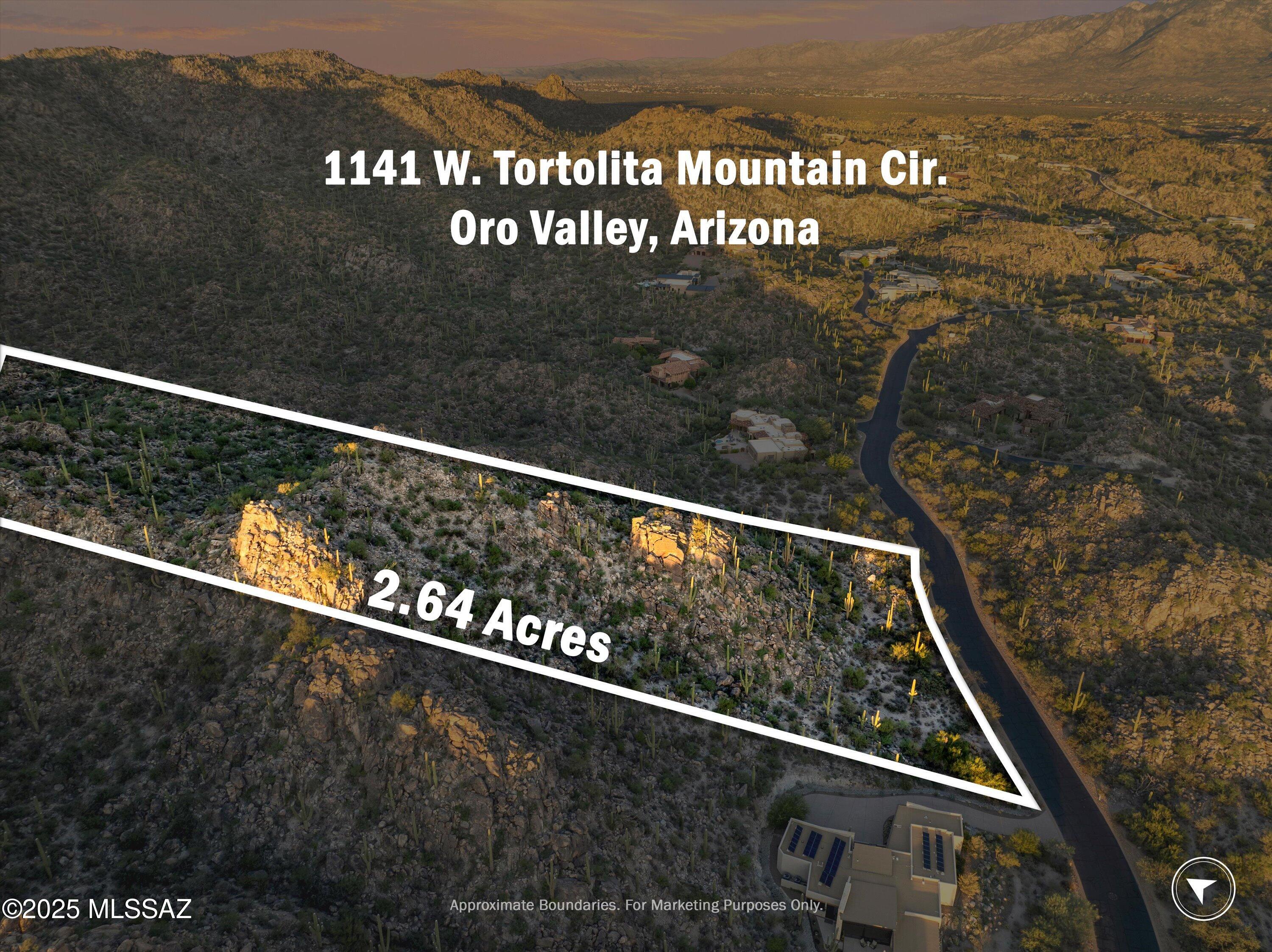 1141 W Tortolita Mountain Circle 177