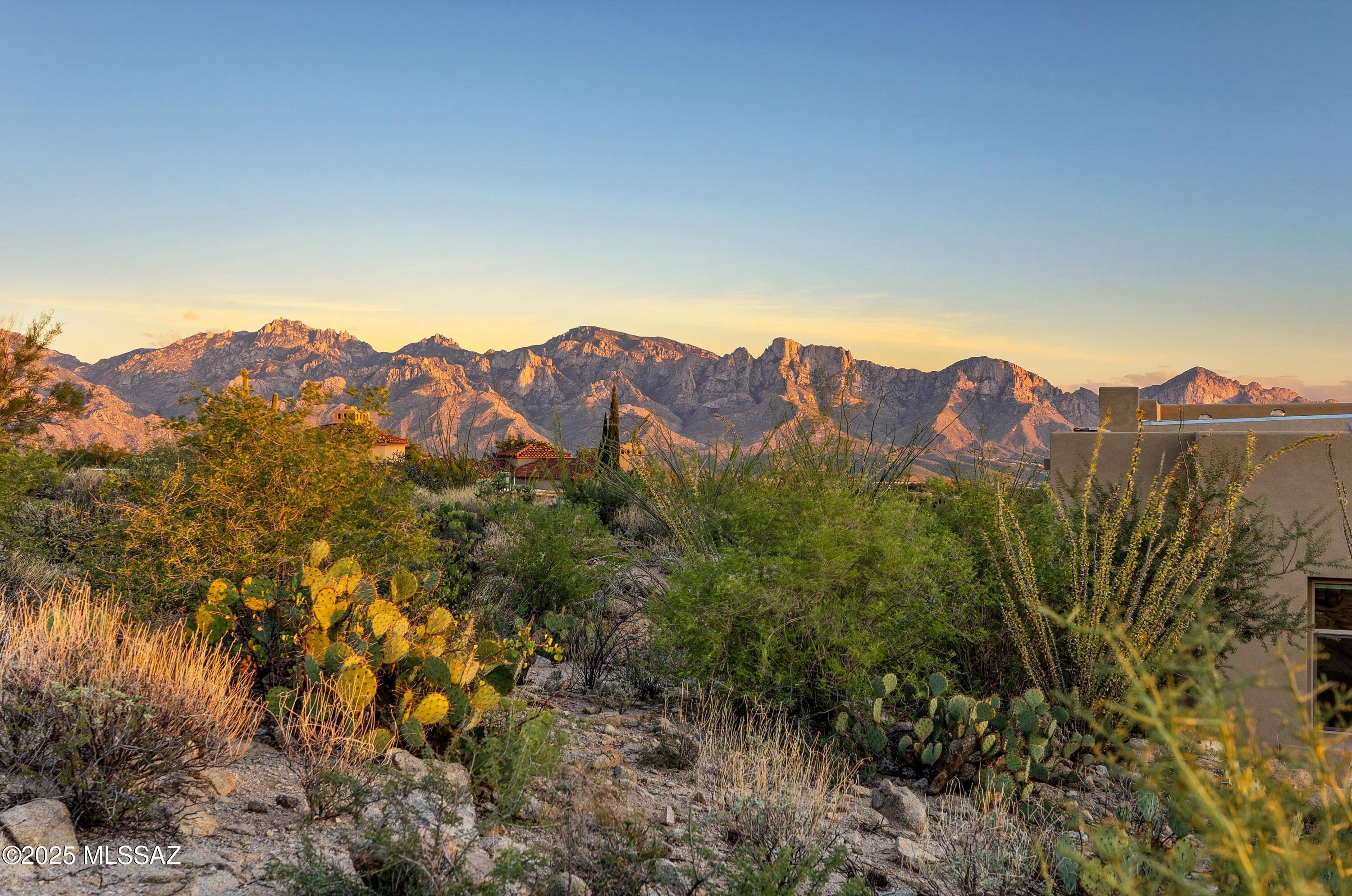 1823 W Tortolita Mountain Circle Lot 497