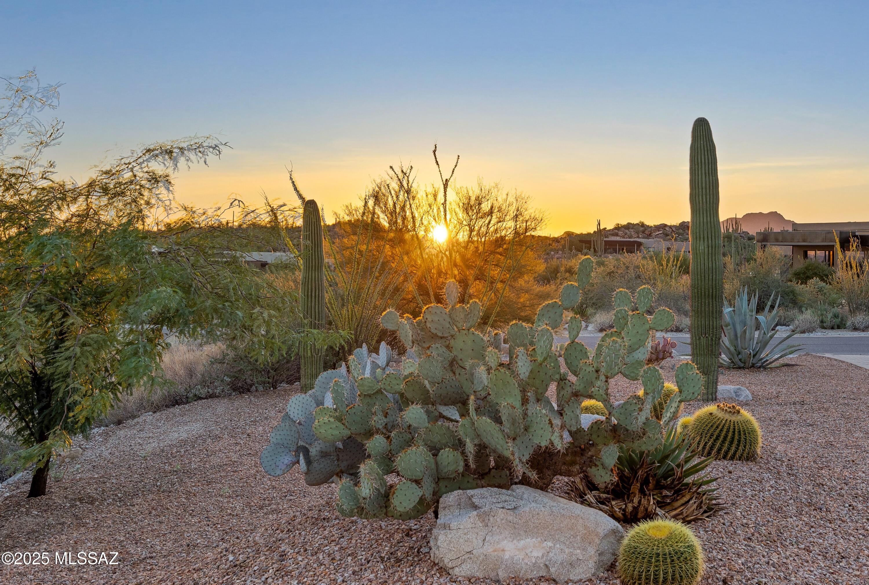 1823 W Tortolita Mountain Circle Lot 497