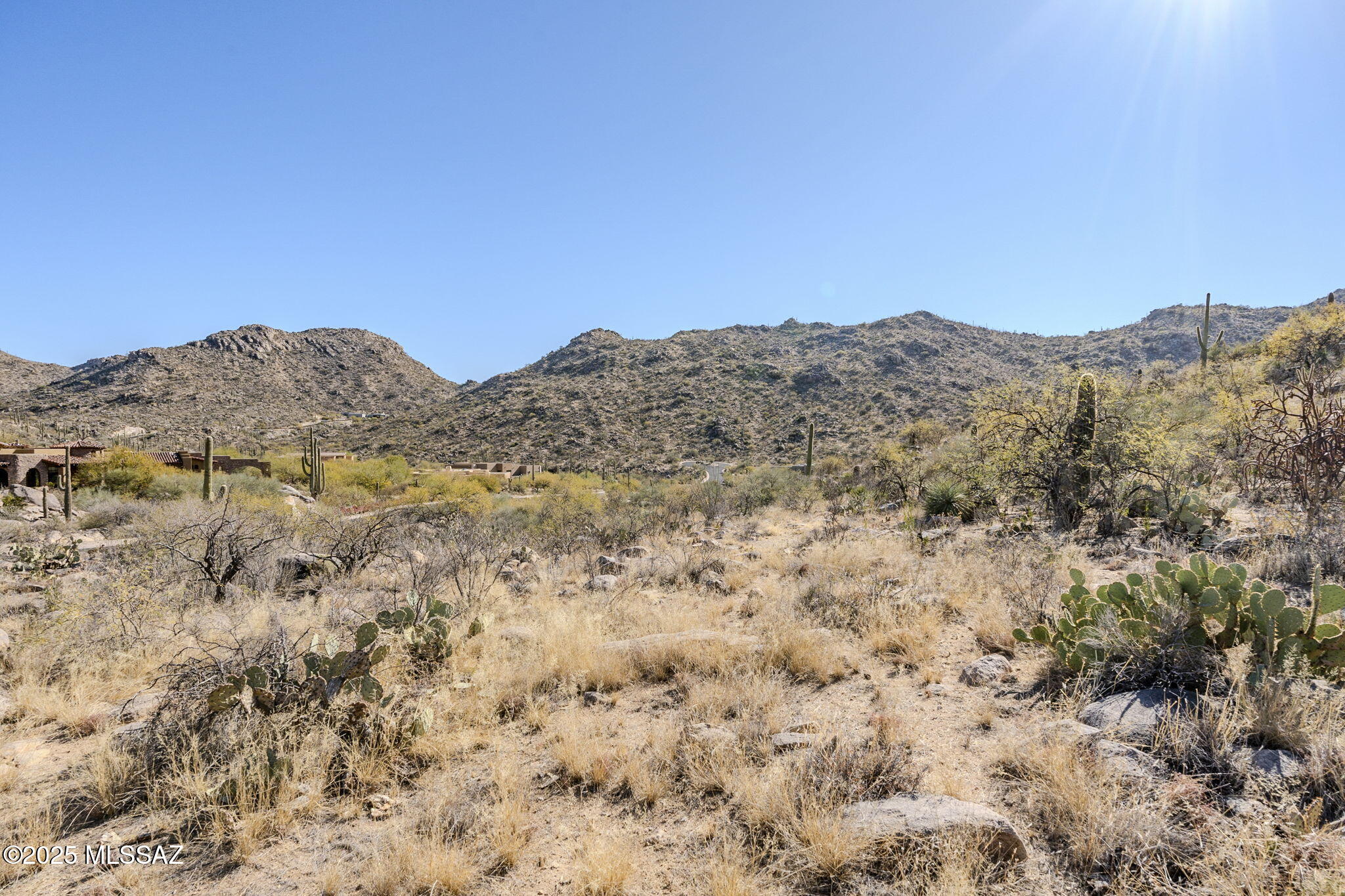 3821 W Cayton Mountain Drive 162