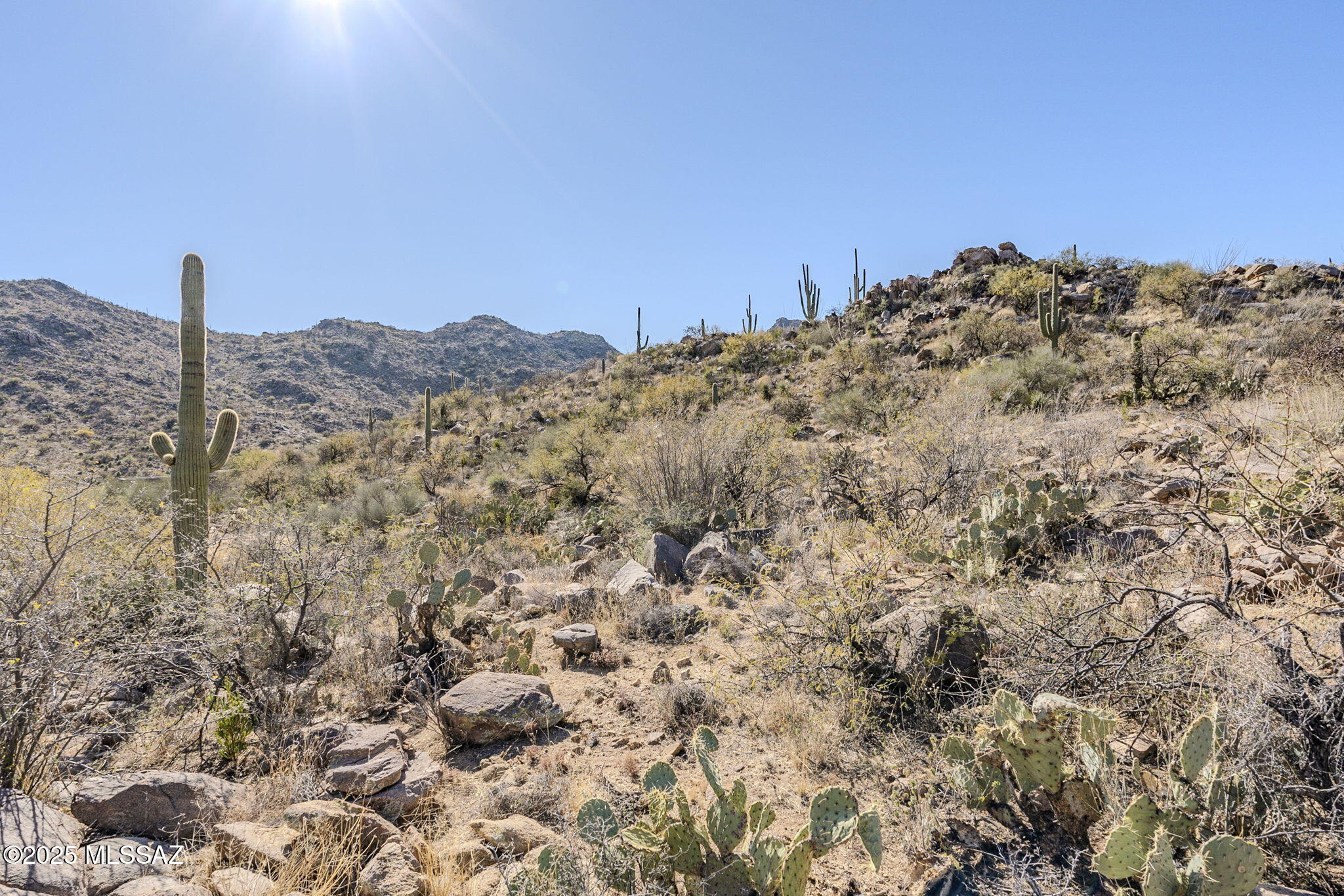 3821 W Cayton Mountain Drive 162